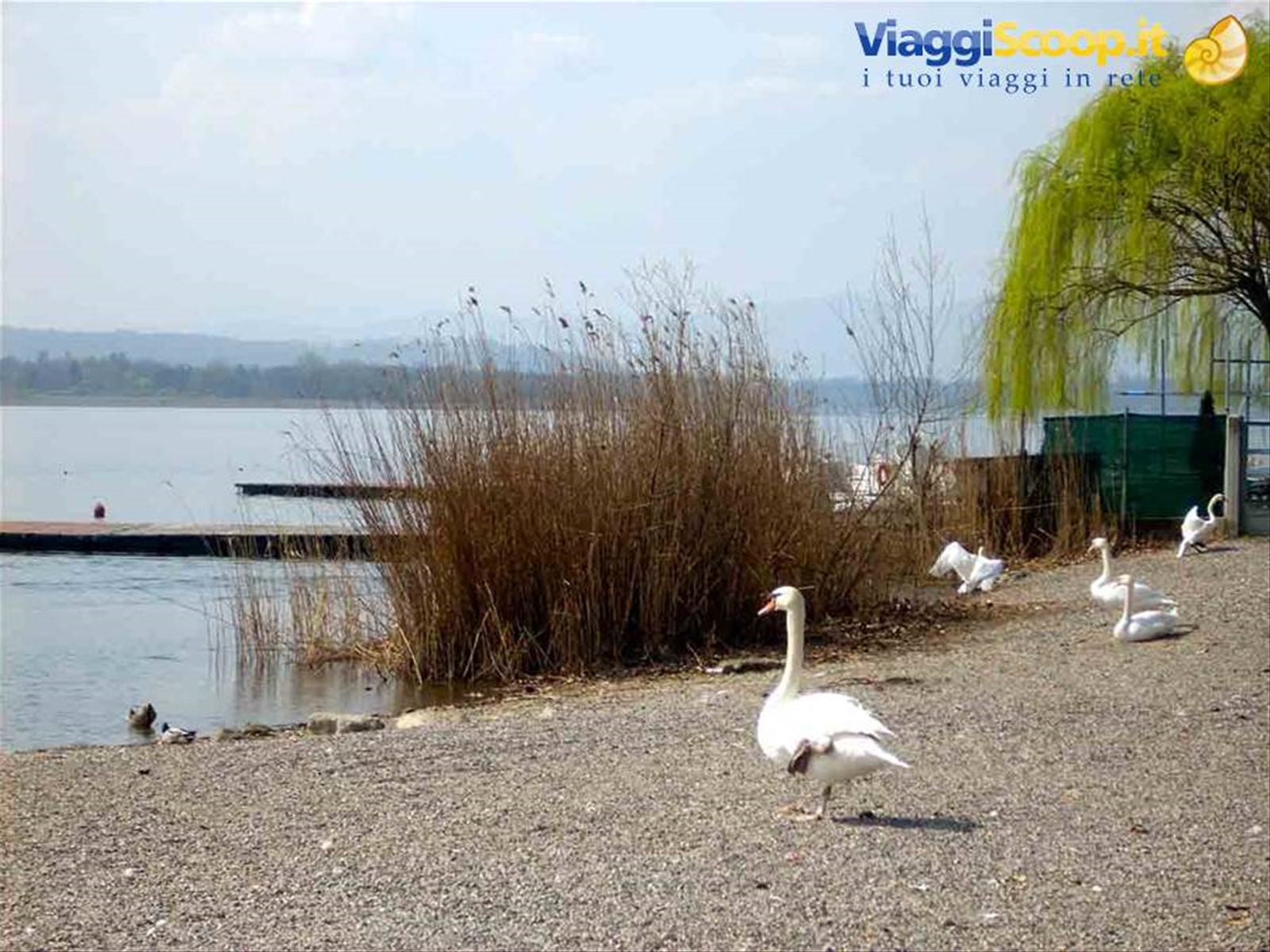 Il Lago di Varese