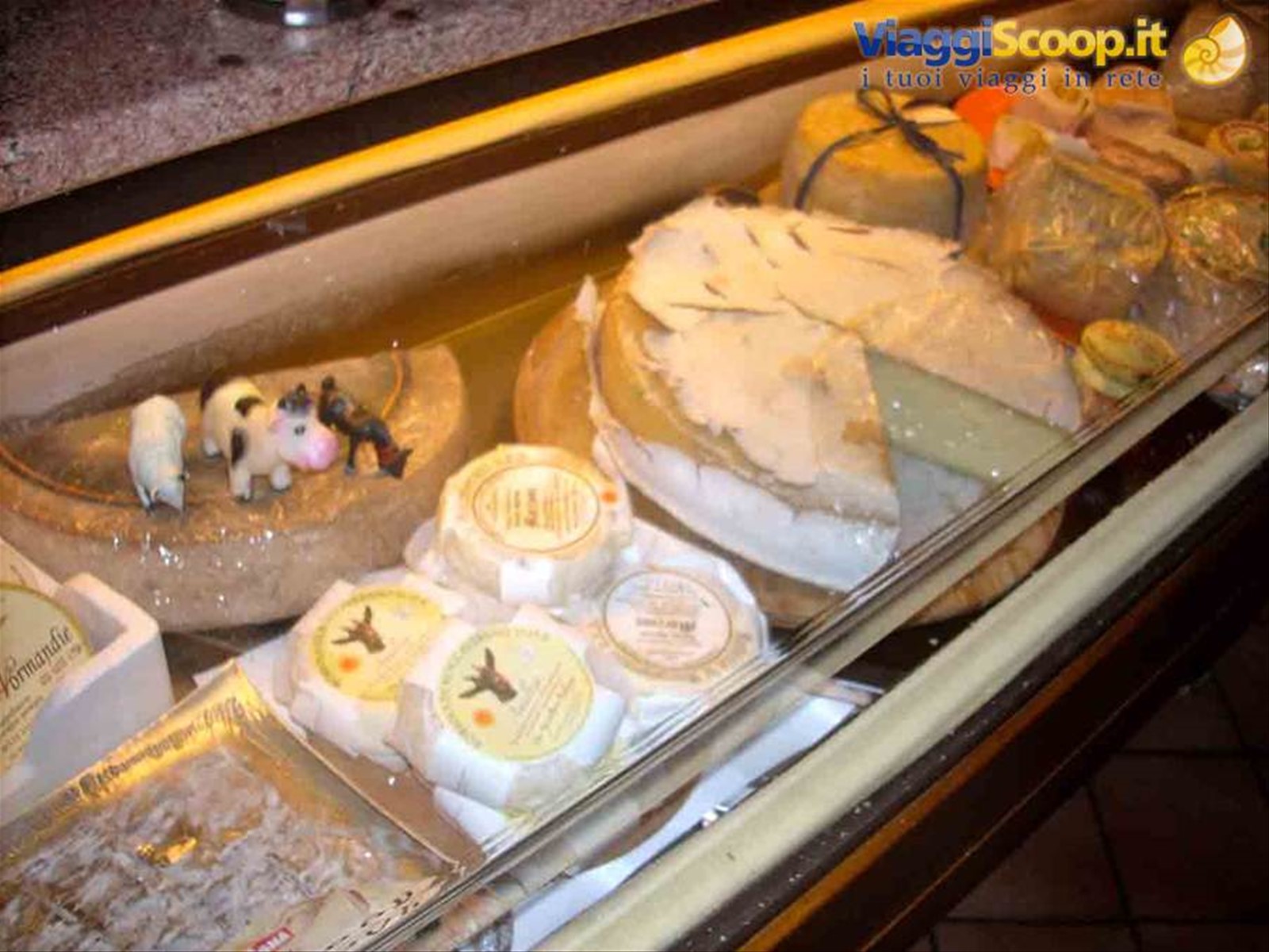 Gustosi formaggi presso l'Enoteca Caffè Roma