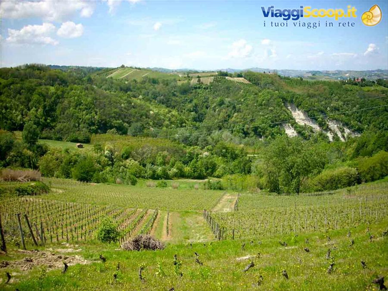 Il paesaggio intorno a Santo Stefano Belbo