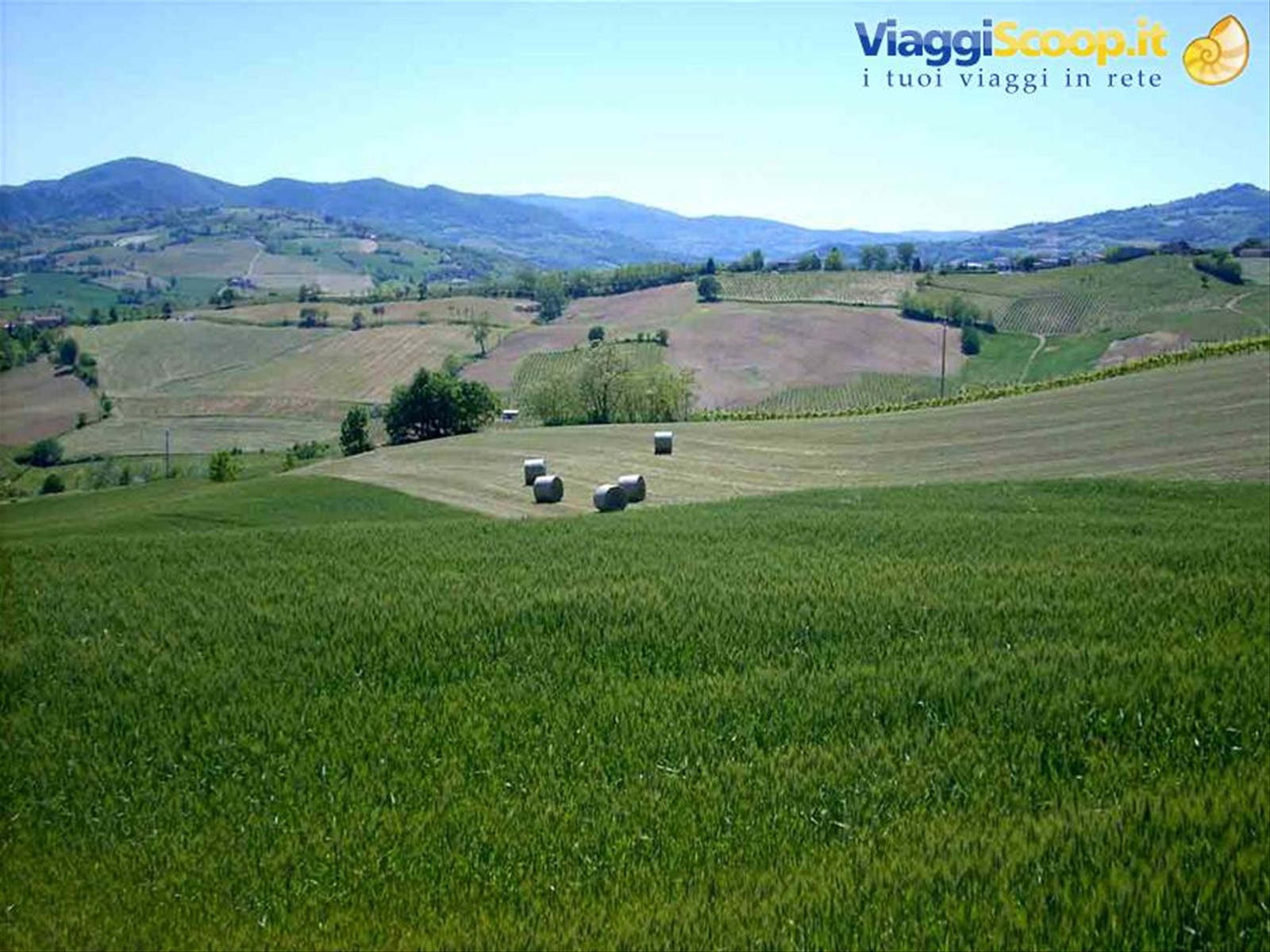 Il paesaggio intorno a Borgonovo Val Tidone