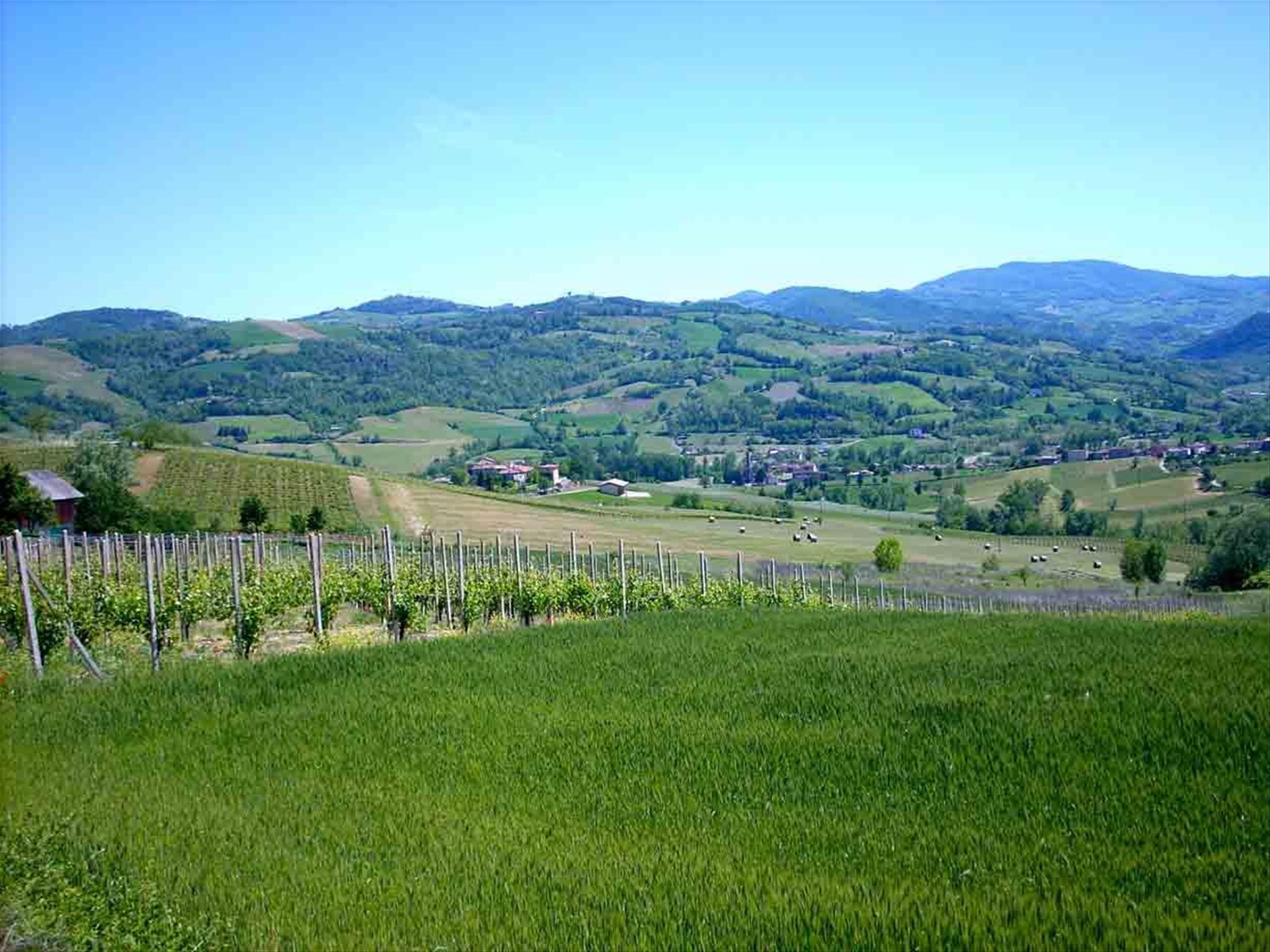 Nel verde di Borgonovo Val Tidone