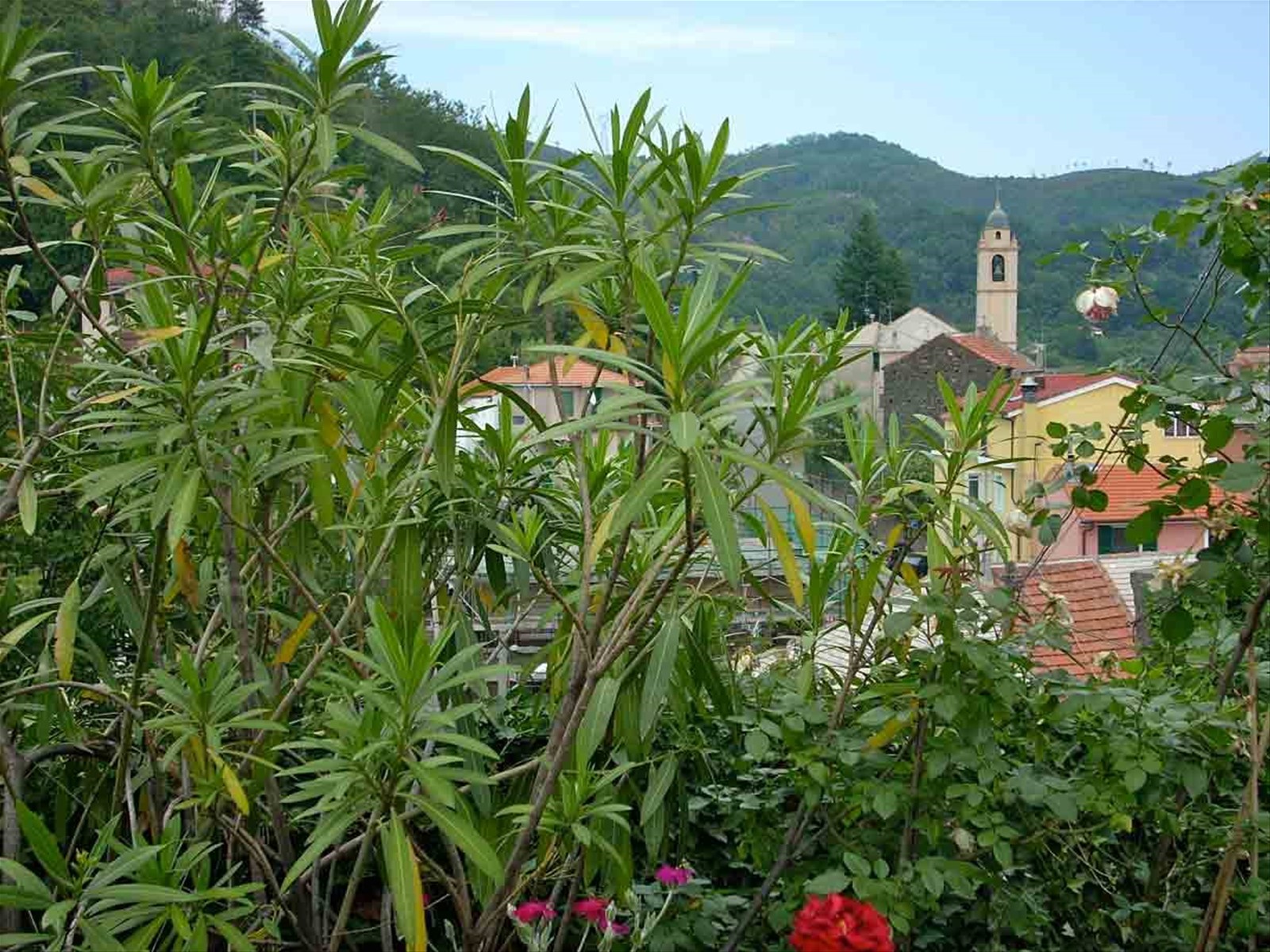Veduta di Stella