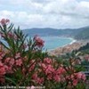 foto viaggio ITALIA