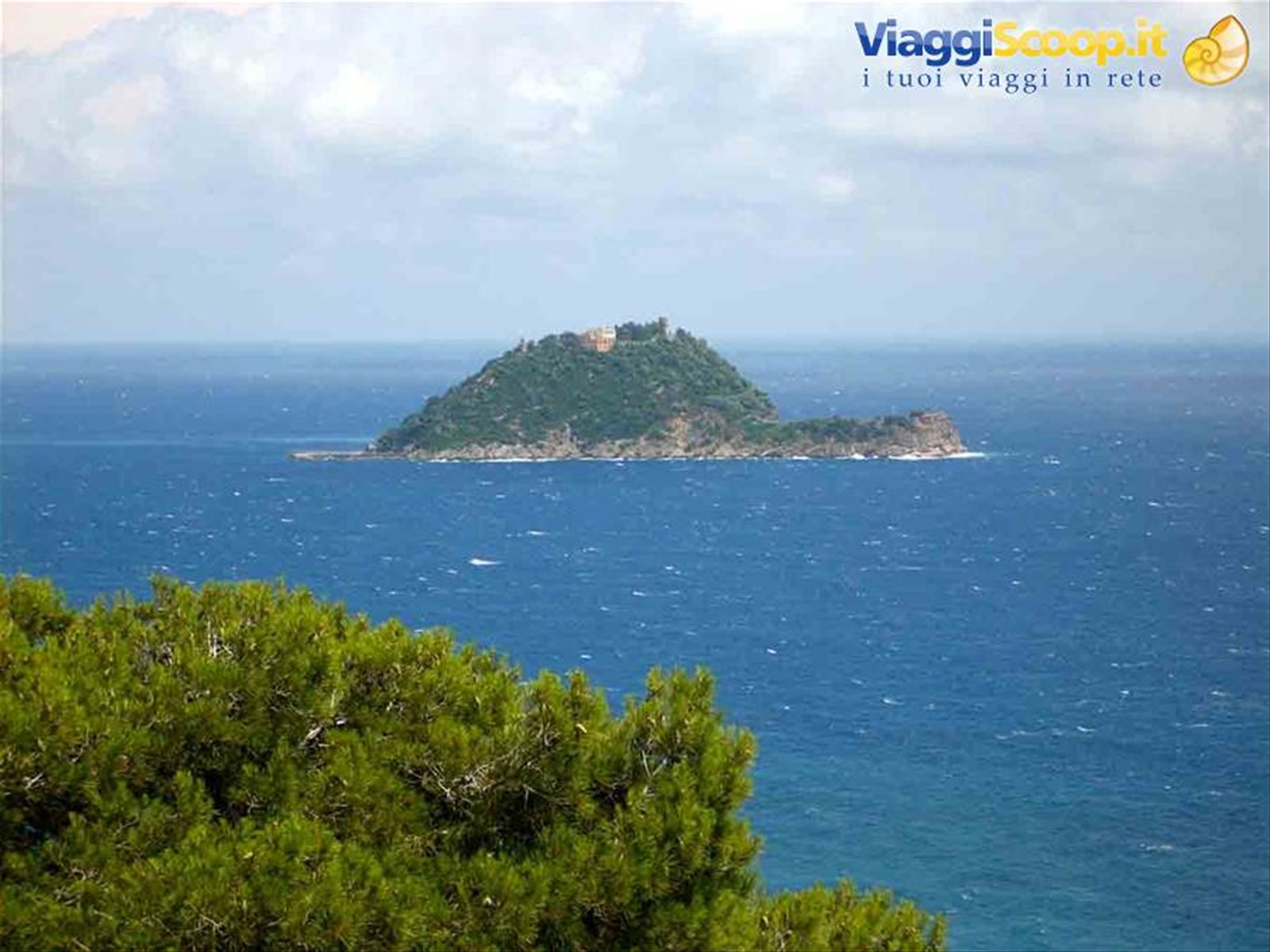 Isola Gallinara