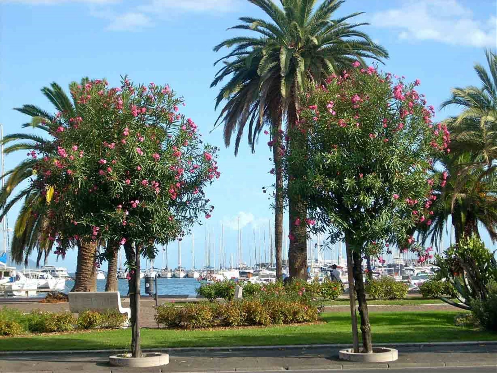 Sul lungomare