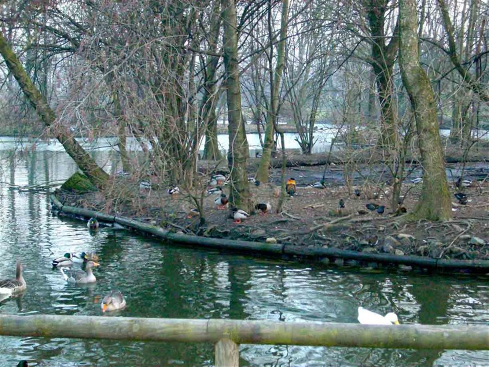 Nel parco di Legnano
