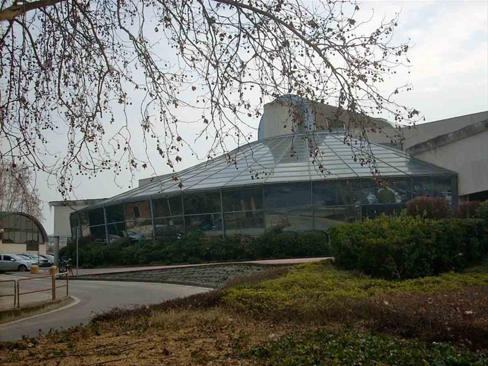 Cinema Arcadia