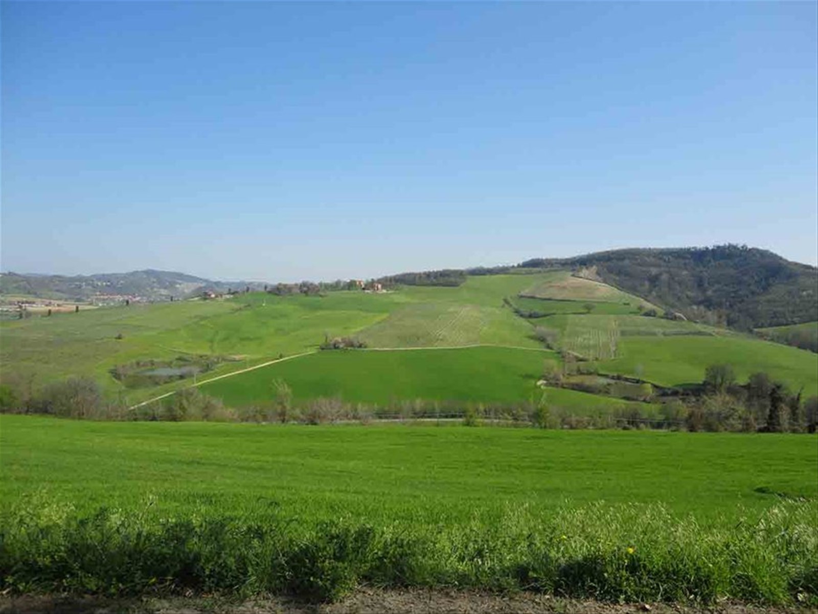 Le dolci colline intorno a Monteveglio