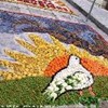 foto viaggio ITALIA