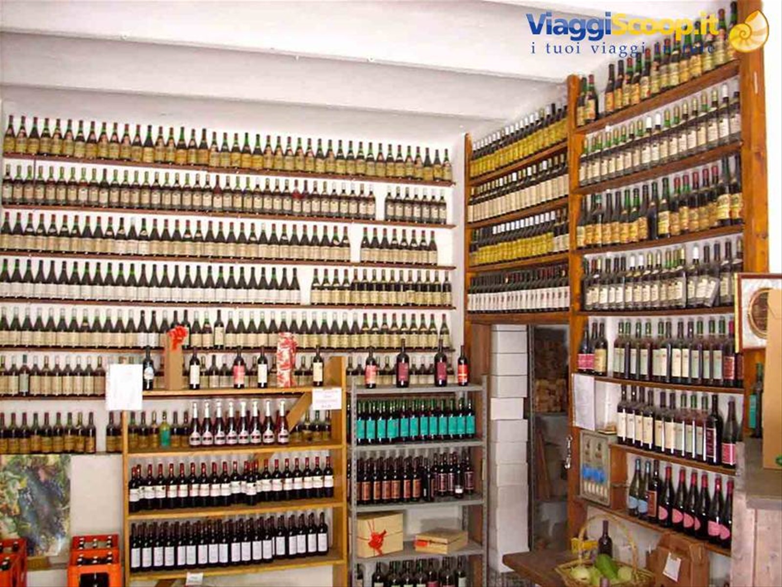 Nella cantina dell'Agriturismo Bottazza