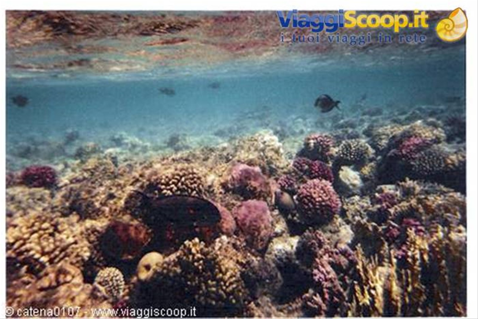 vacanze a marsa alam