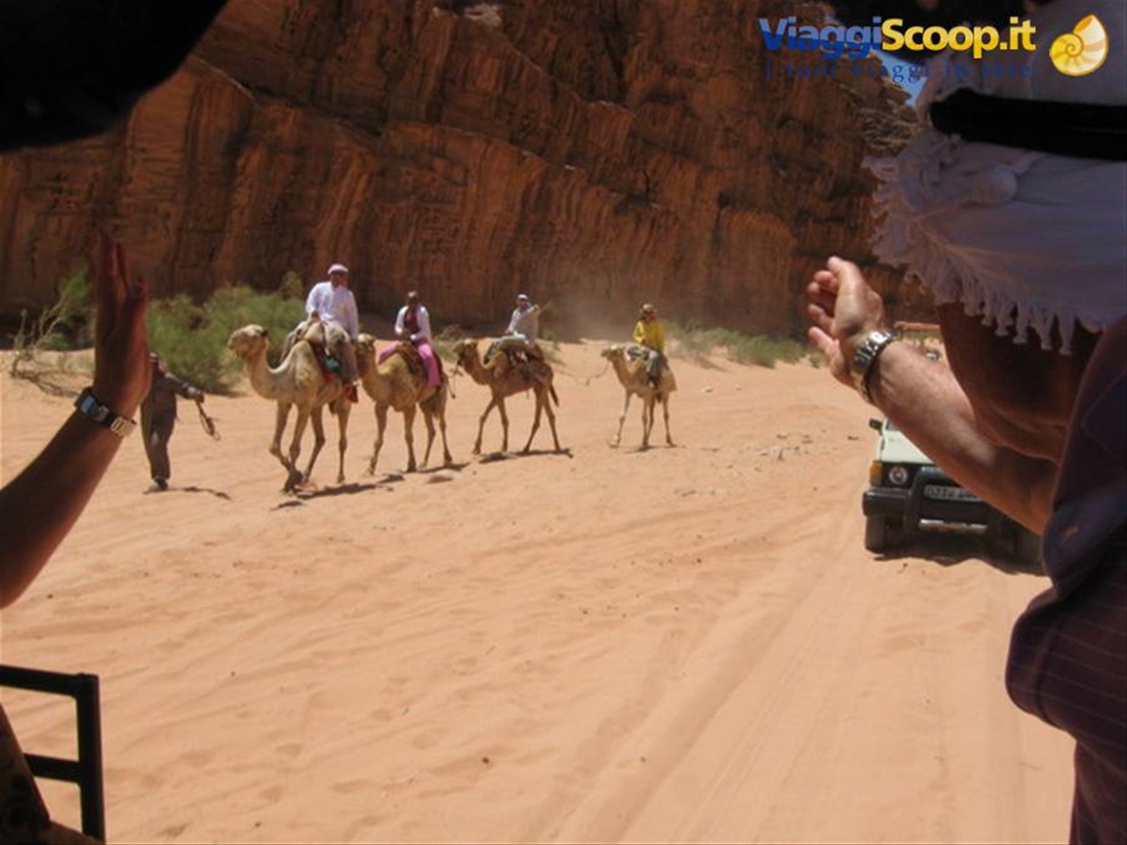 Cammelli nel deserto del Wady Rum