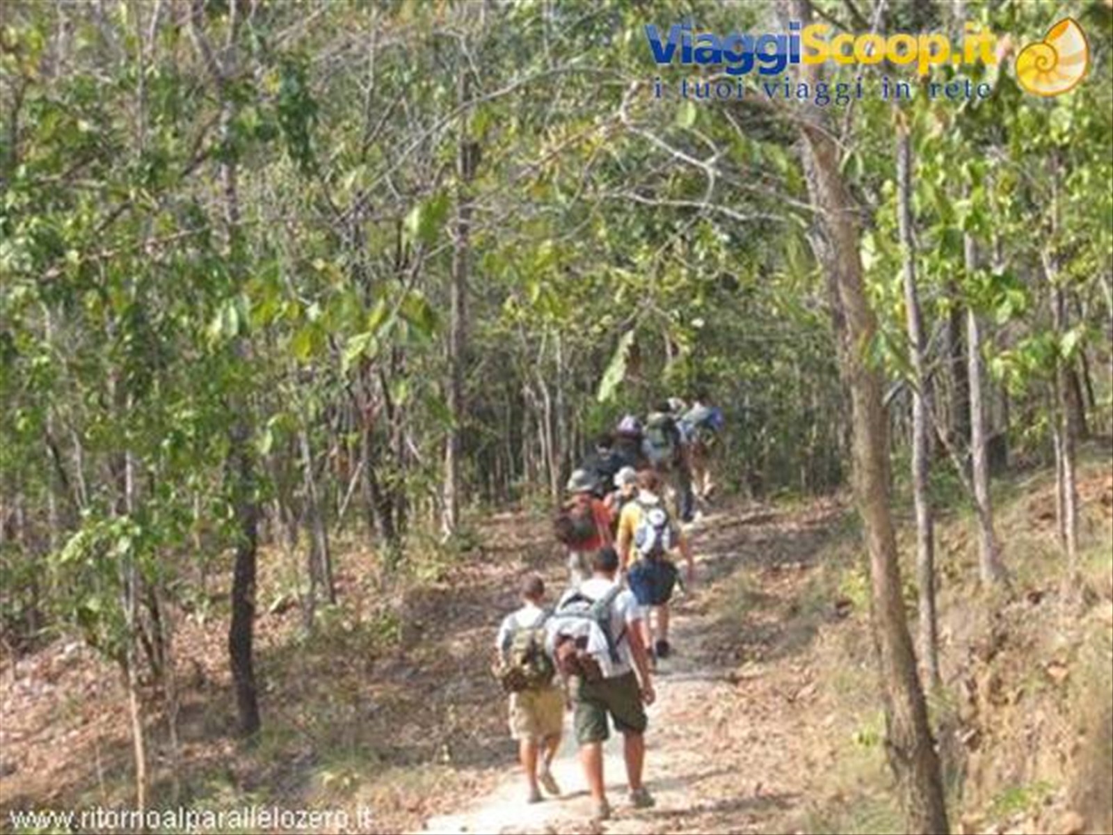 Attraverso la jungla