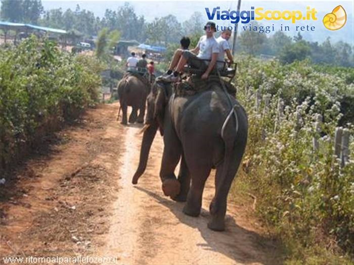 A dorso dell'elefante