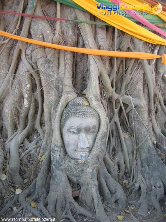 Ayutthaya: la parte storica della città