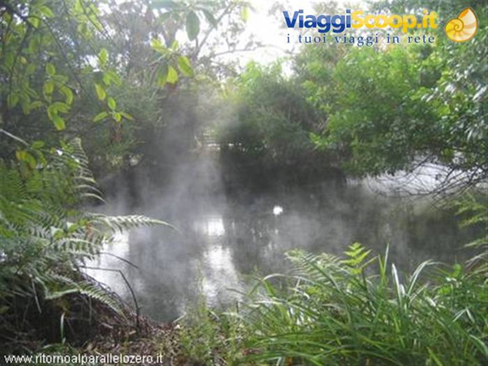 Vapori a Rotorua