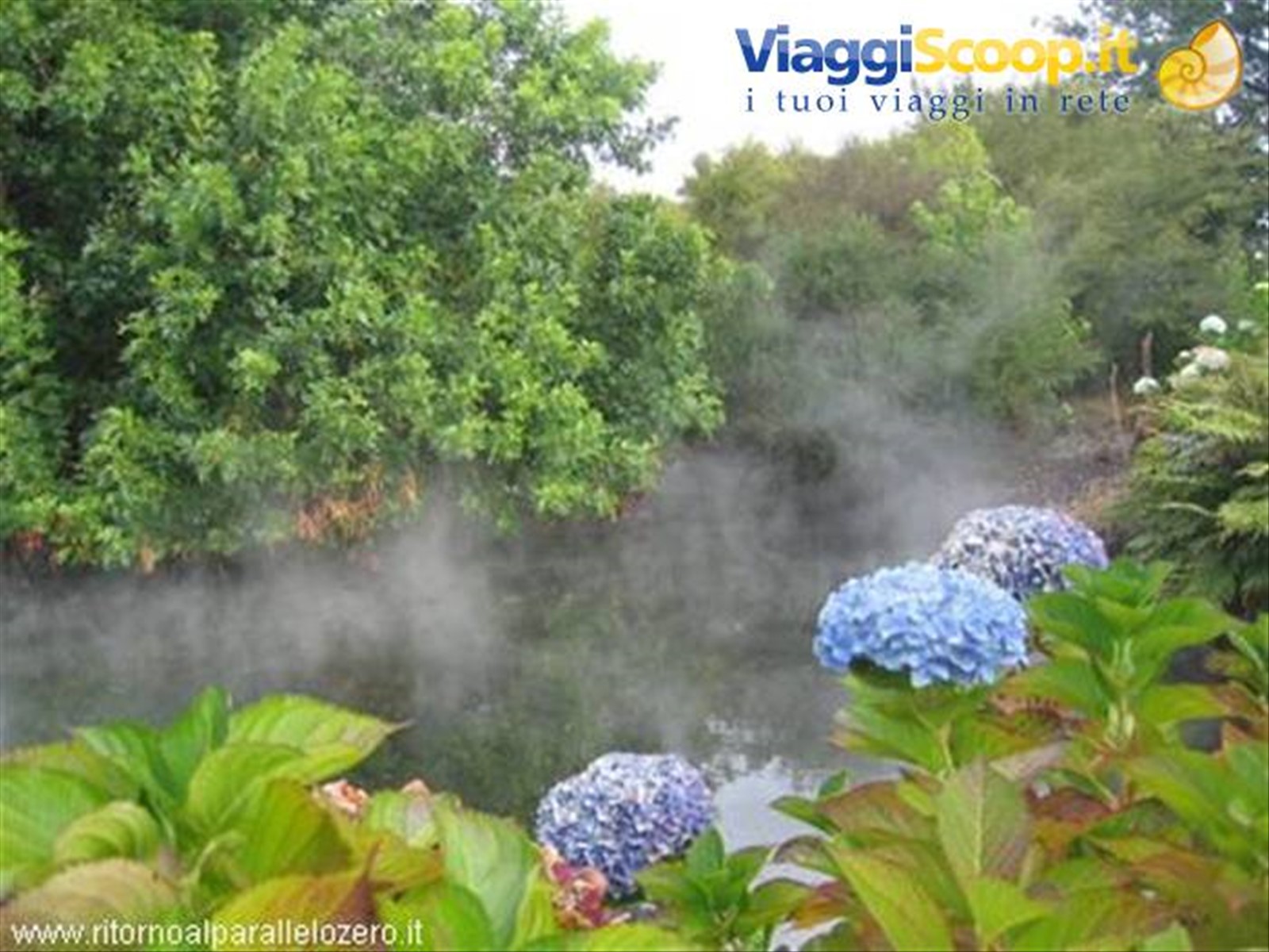 Vapori a Rotorua