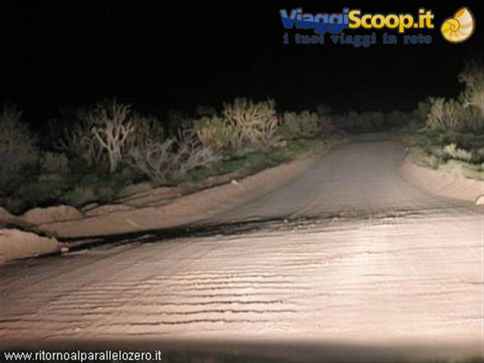 Pista nel deserto