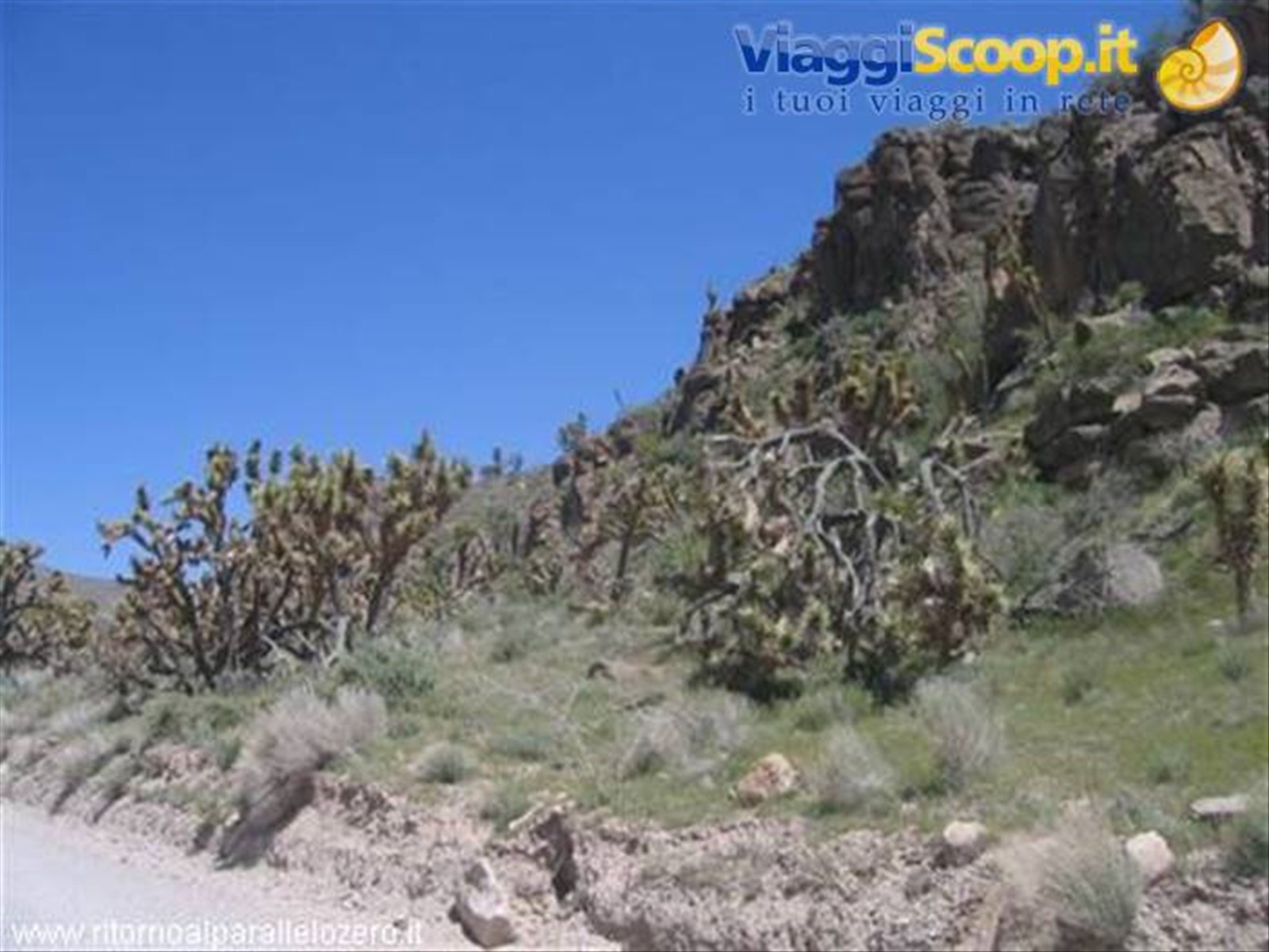 Deserto