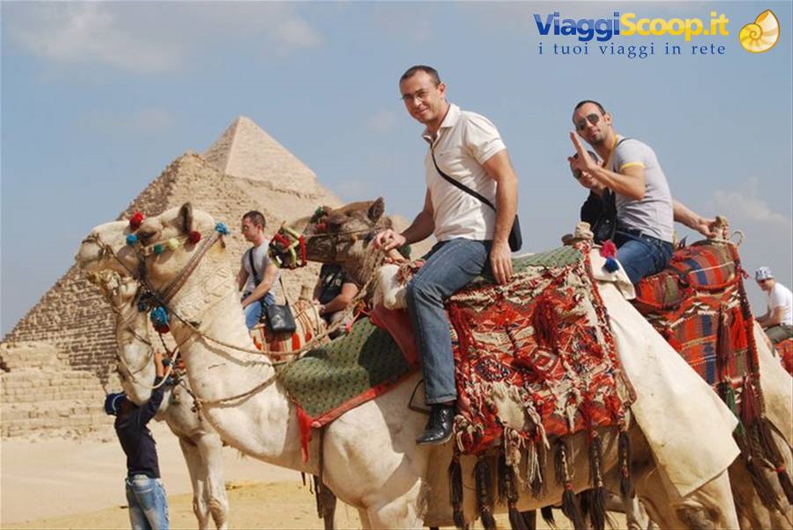 Cammelli e 9 piramidi al Cairo