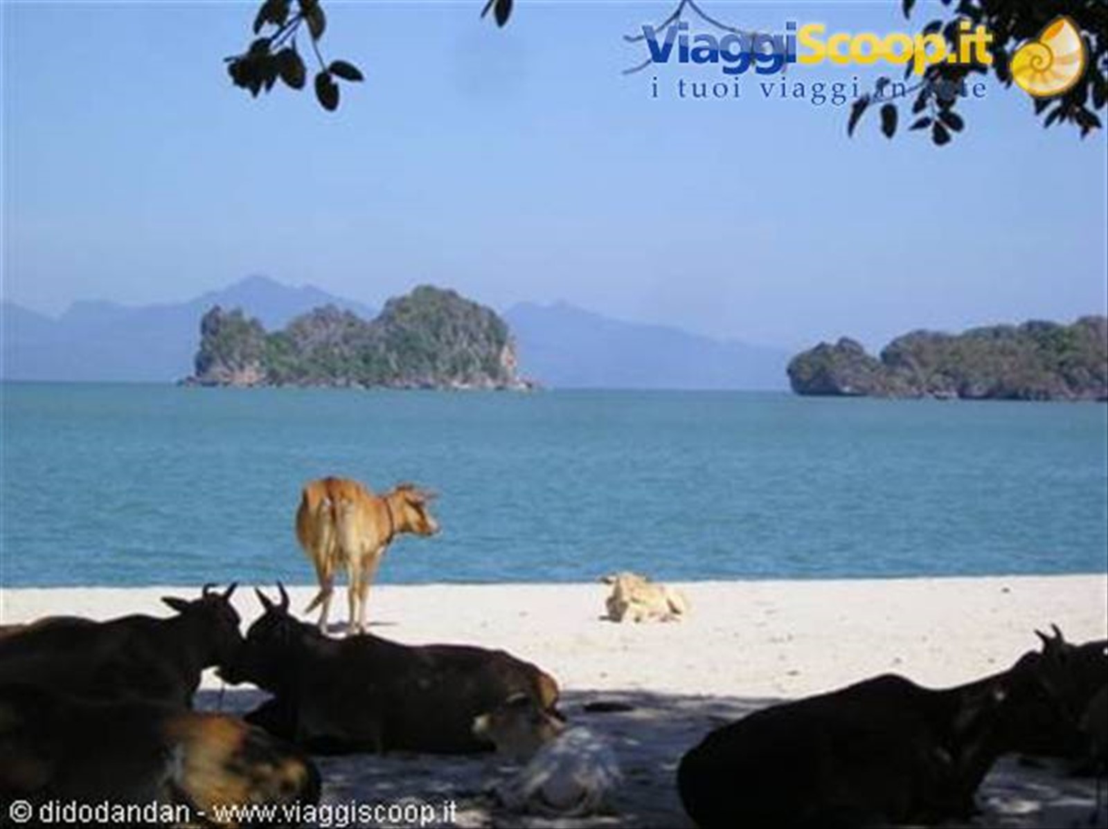 Foto di viaggio in MALESIA