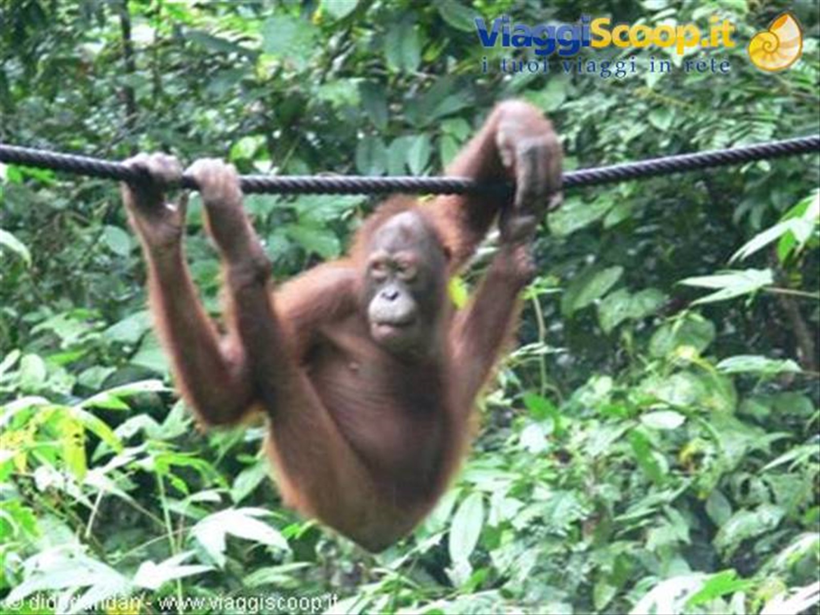 Foto di viaggio in MALESIA