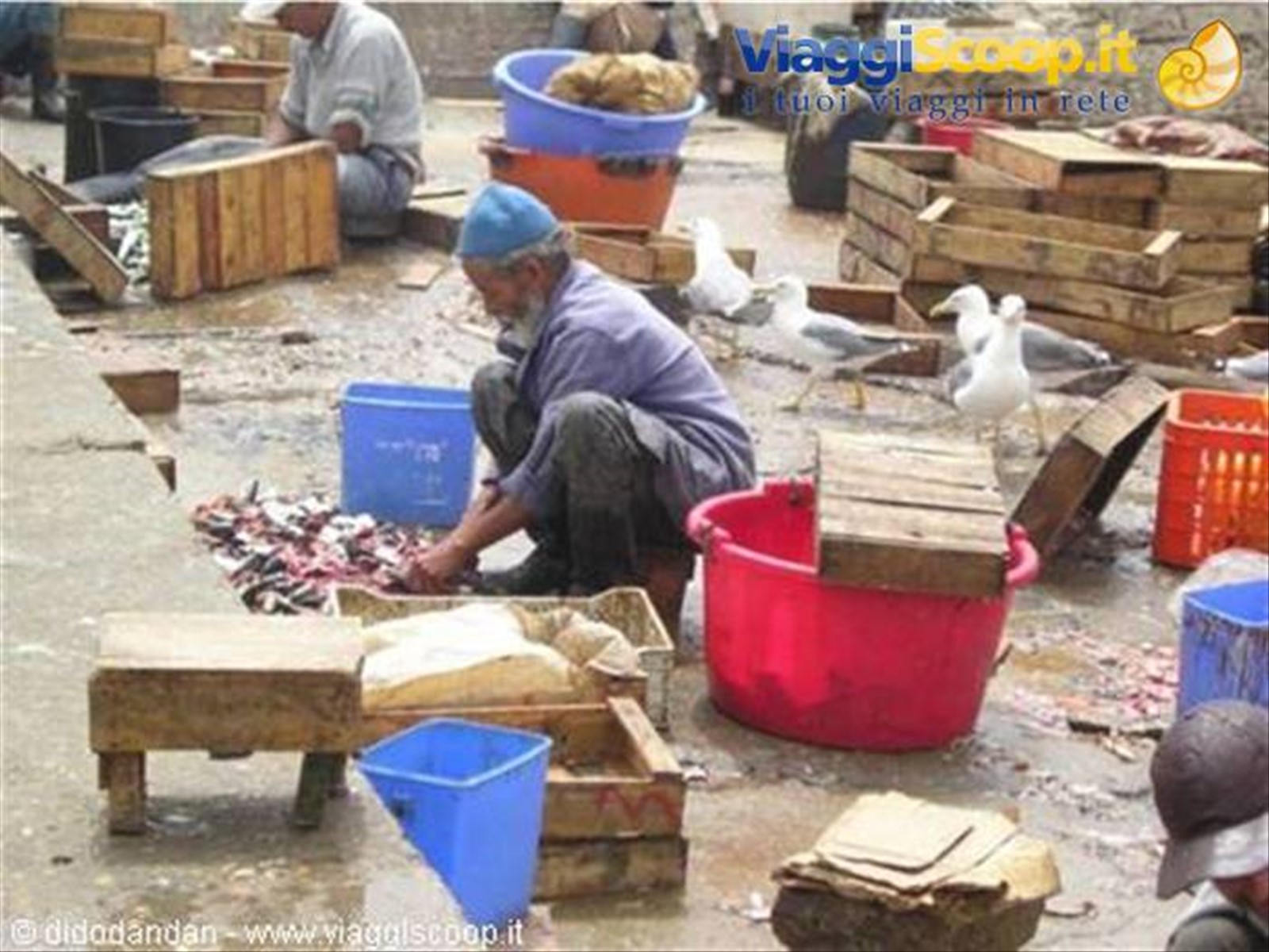 Foto di viaggio in MAROCCO