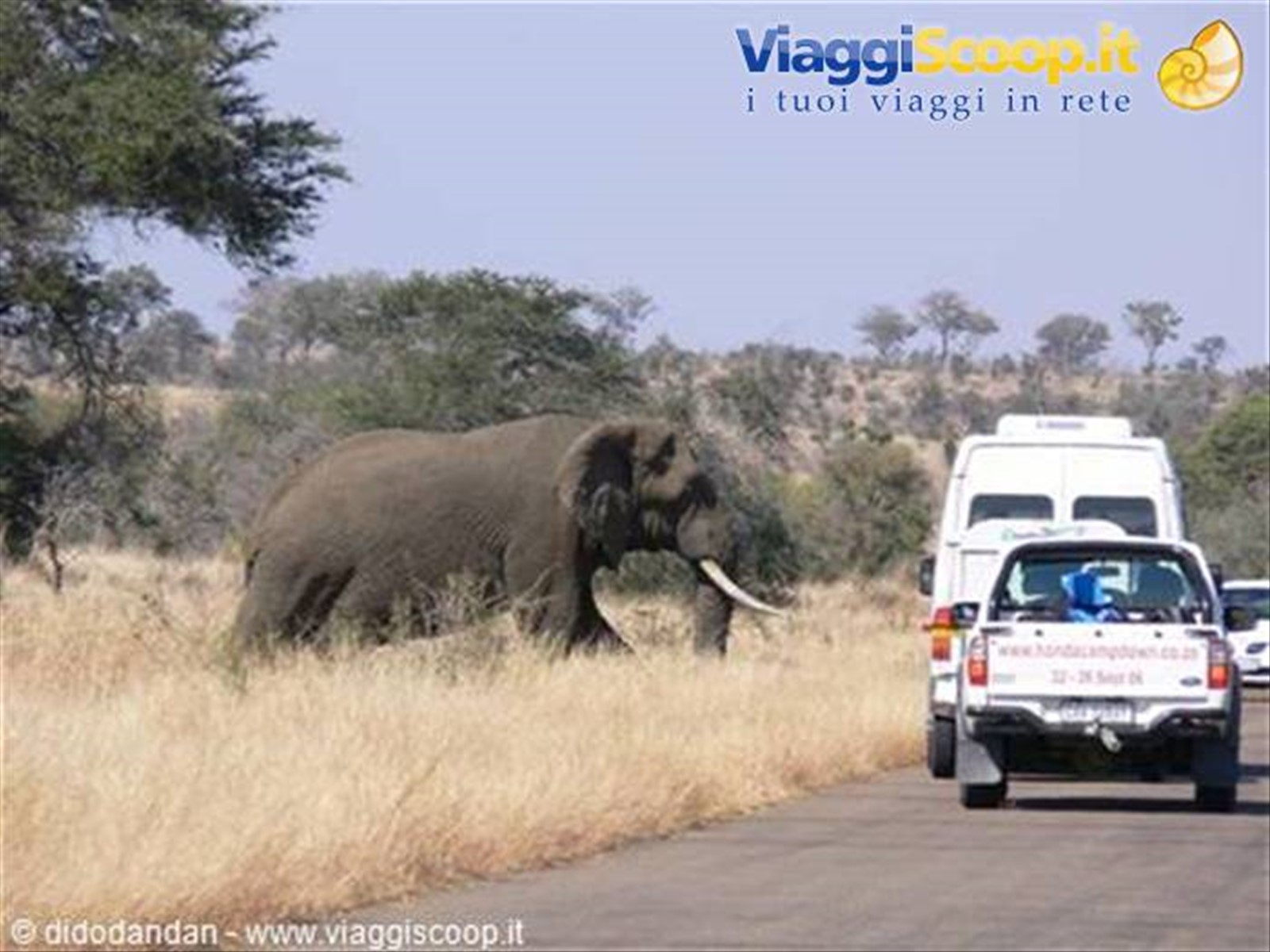 Foto di viaggio in SUD AFRICA
