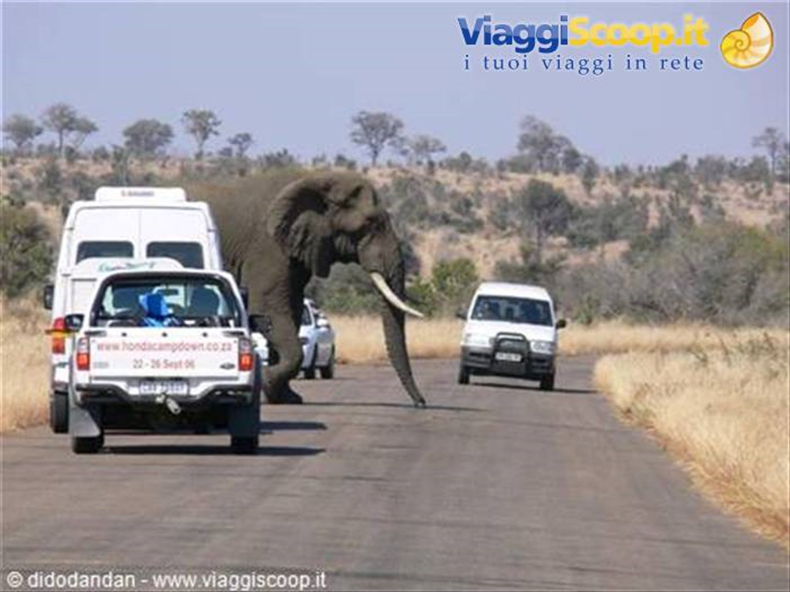 Foto di viaggio in SUD AFRICA