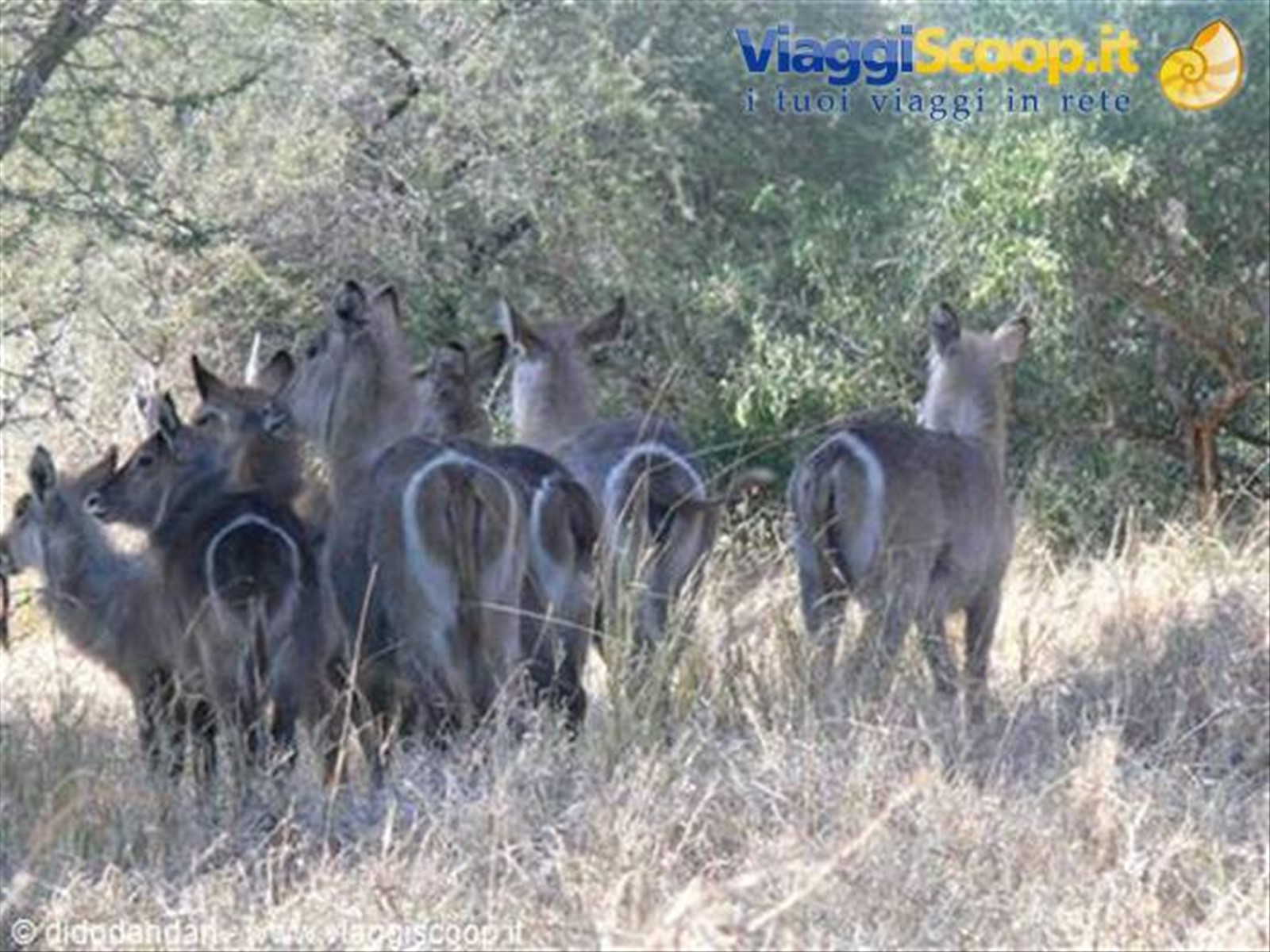 Foto di viaggio in SUD AFRICA