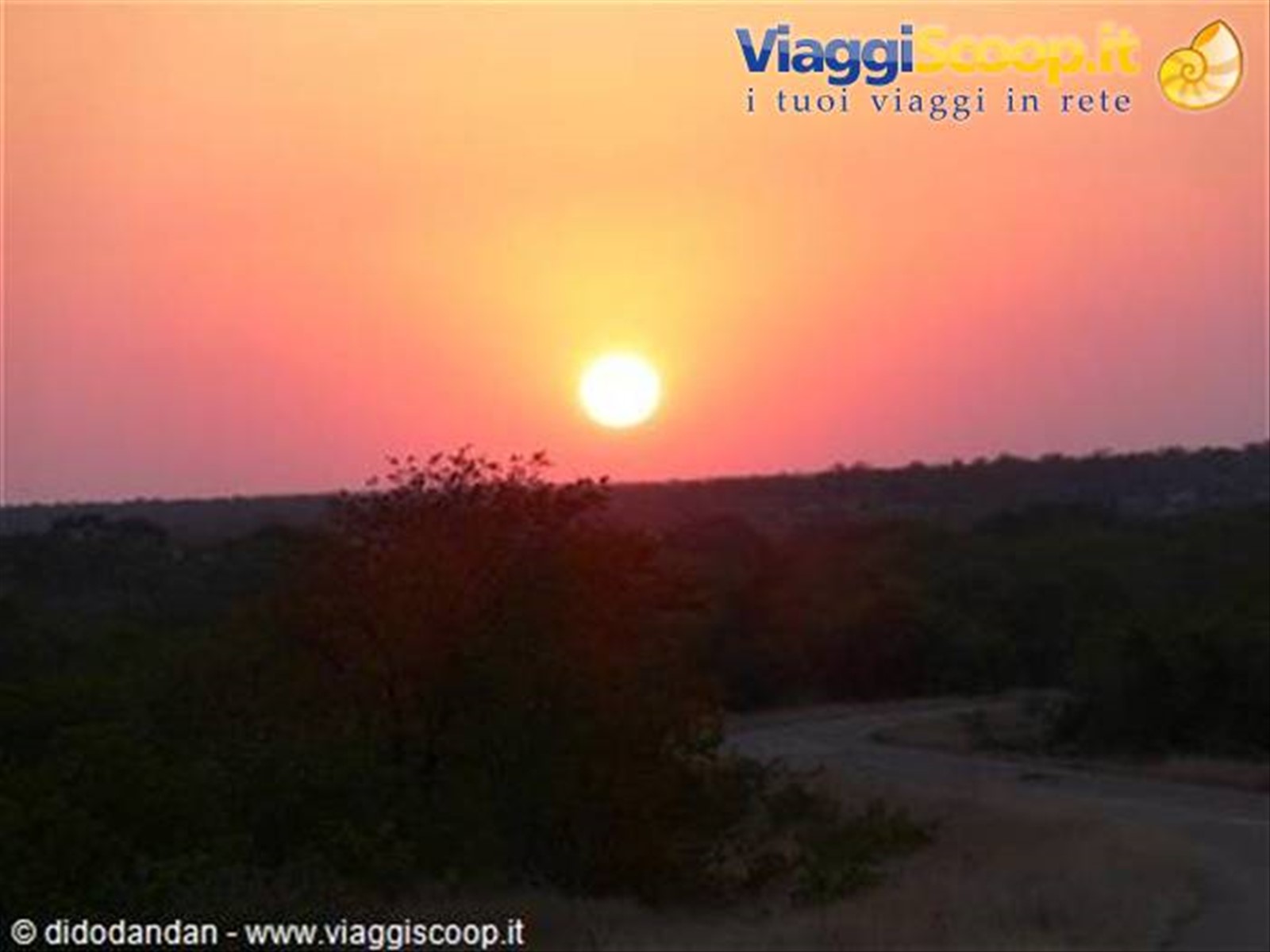 Foto di viaggio in SUD AFRICA