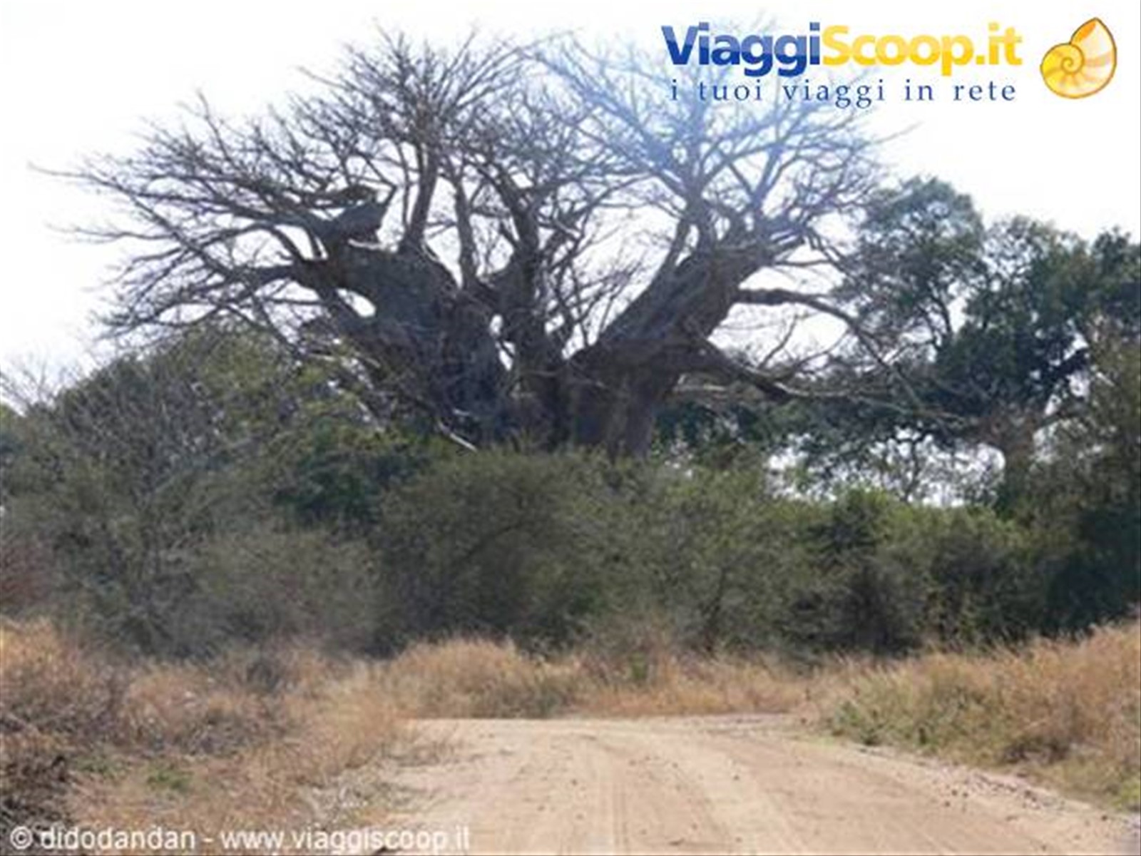Foto di viaggio in SUD AFRICA