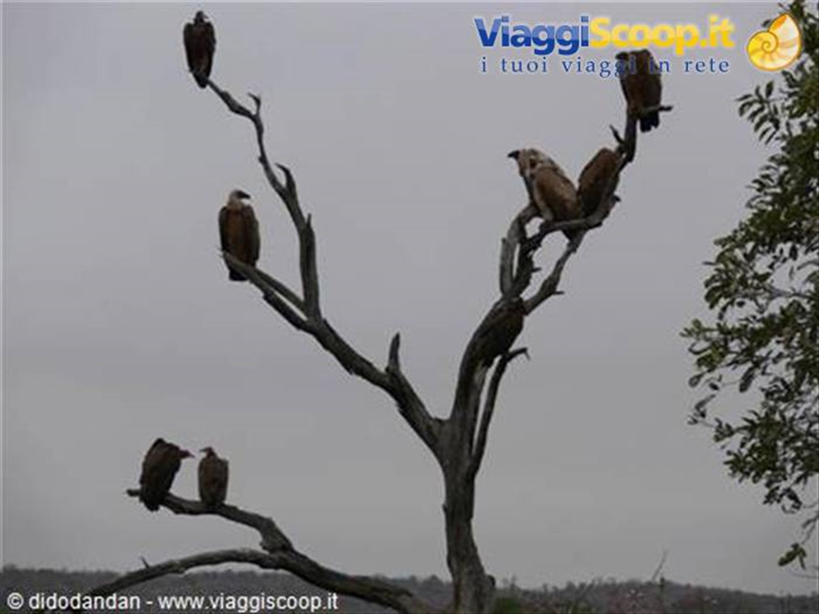 Foto di viaggio in SUD AFRICA