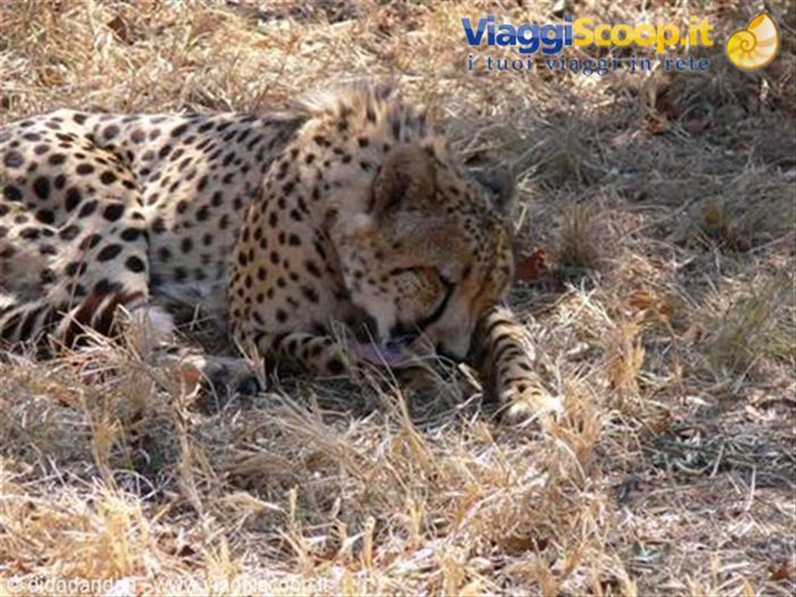 Foto di viaggio in SUD AFRICA
