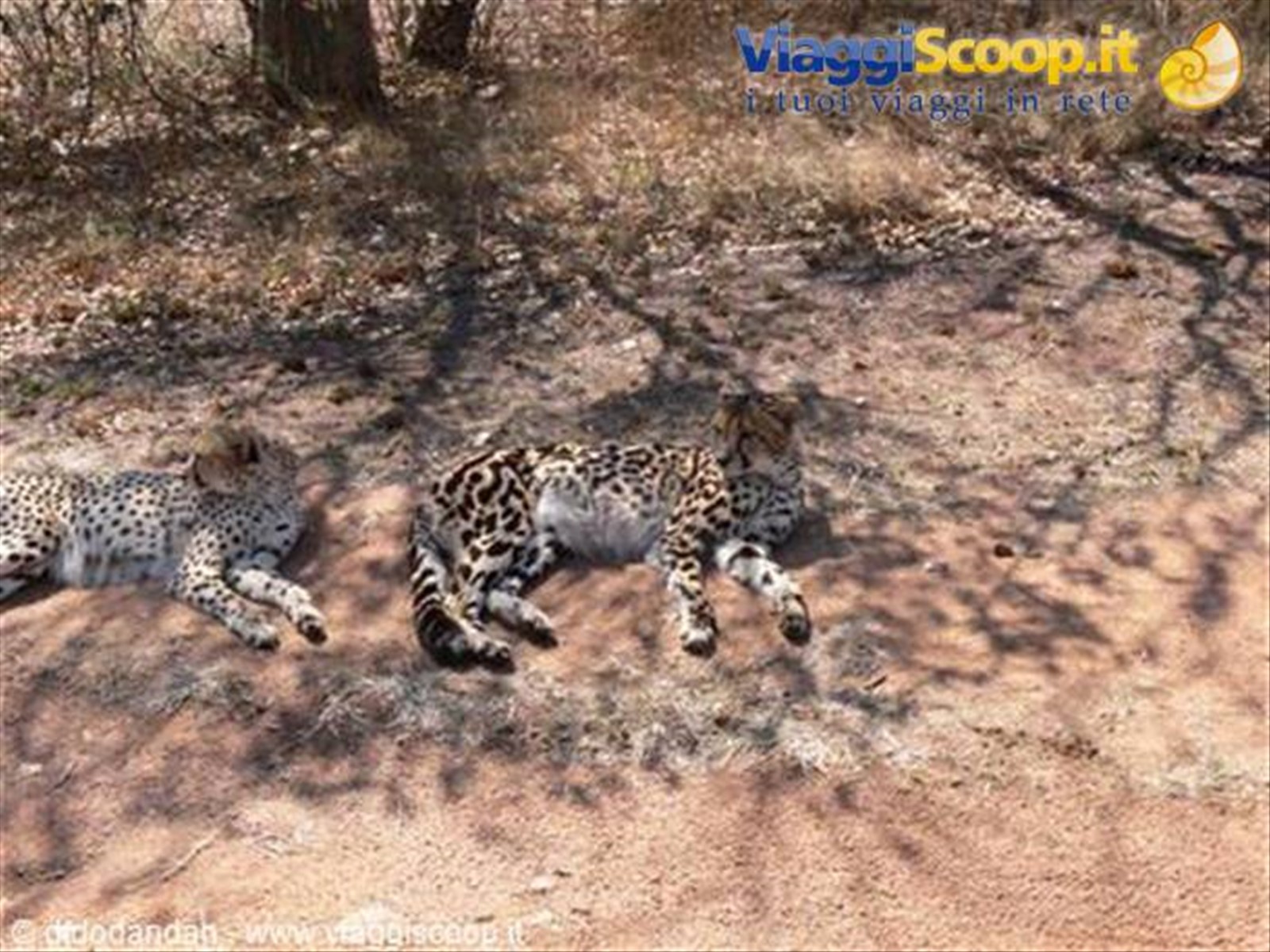 Foto di viaggio in SUD AFRICA