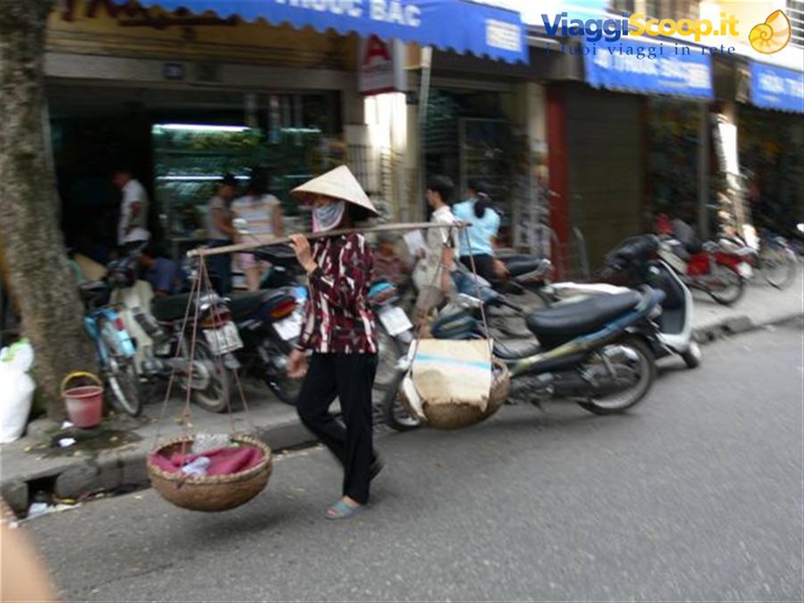 Foto di viaggio in VIETNAM
