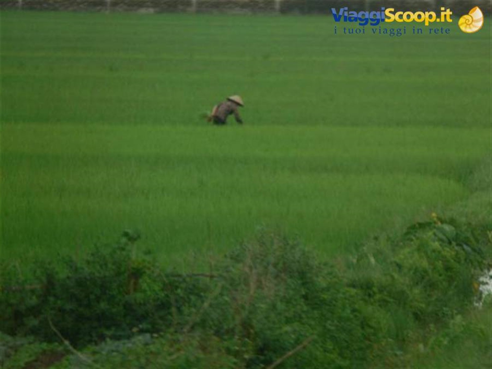 Foto di viaggio in VIETNAM