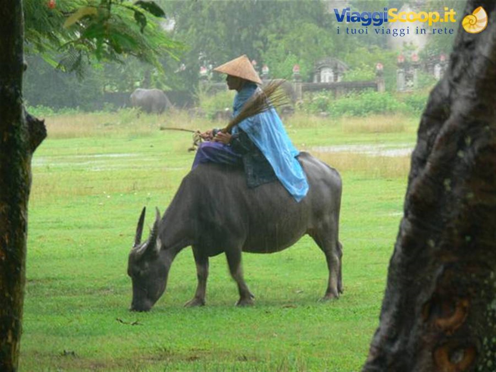 Foto di viaggio in VIETNAM