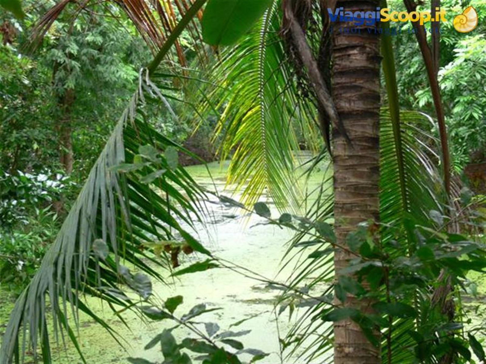Foto di viaggio in VIETNAM