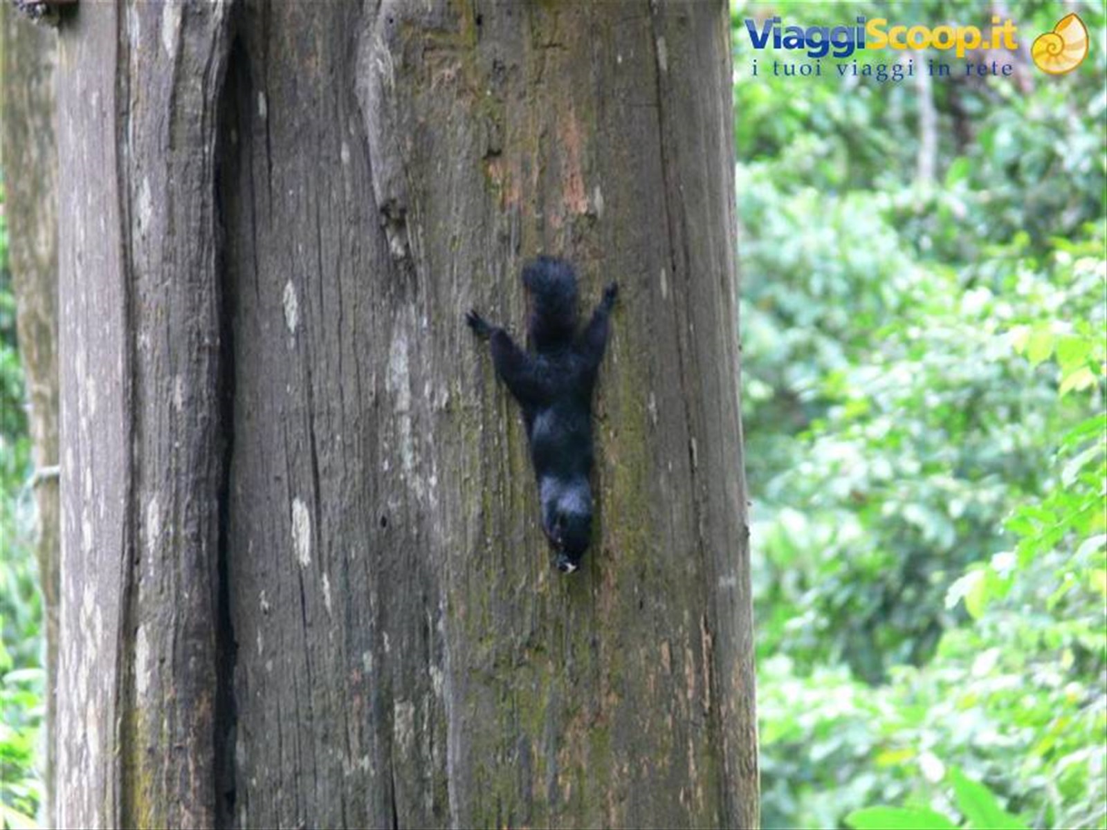 Foto di viaggio in MALESIA