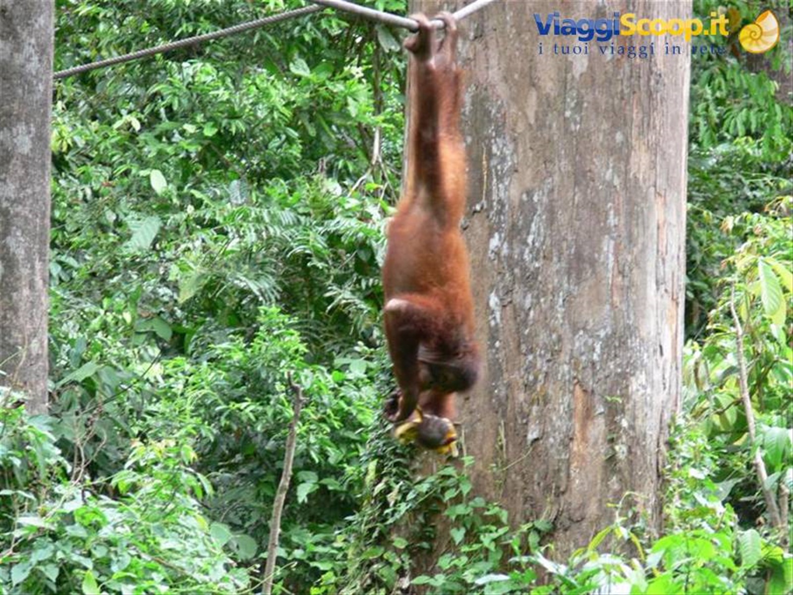 Foto di viaggio in MALESIA