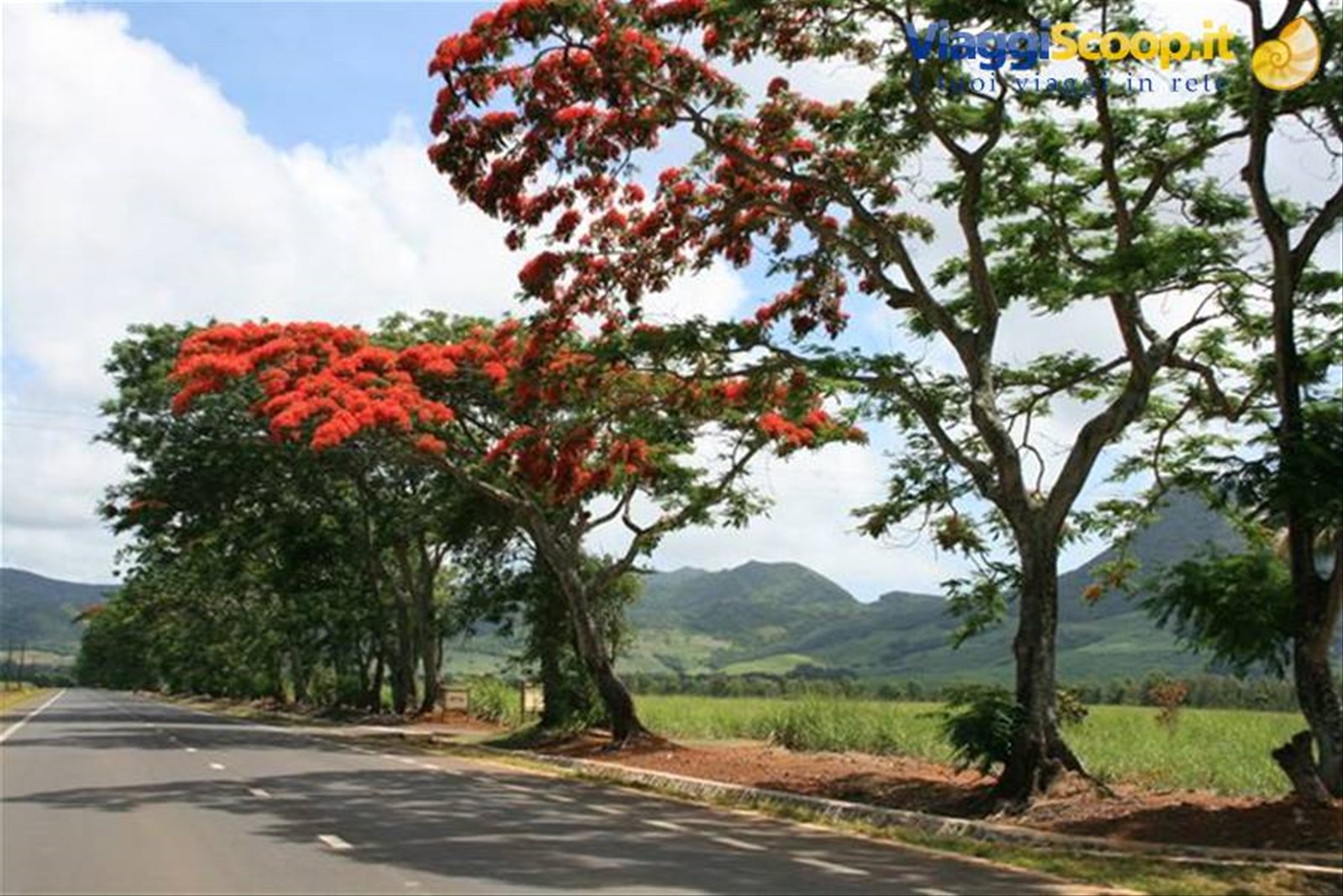 Foto di viaggio in MAURITIUS