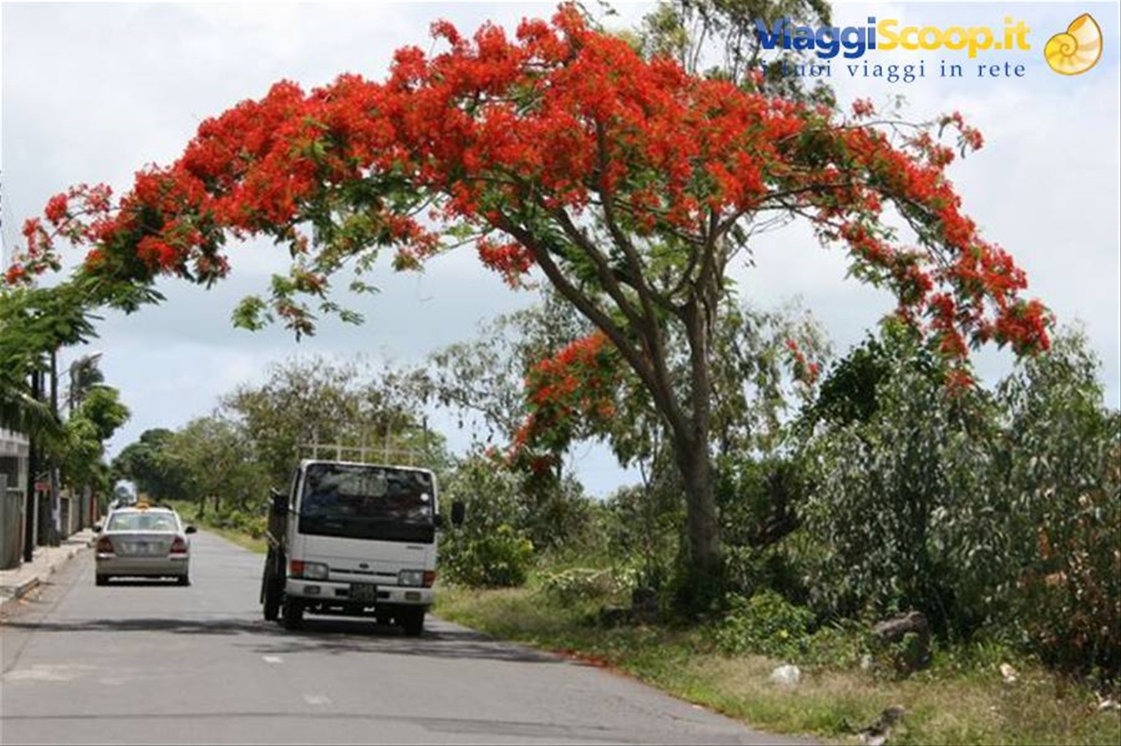 Foto di viaggio in MAURITIUS