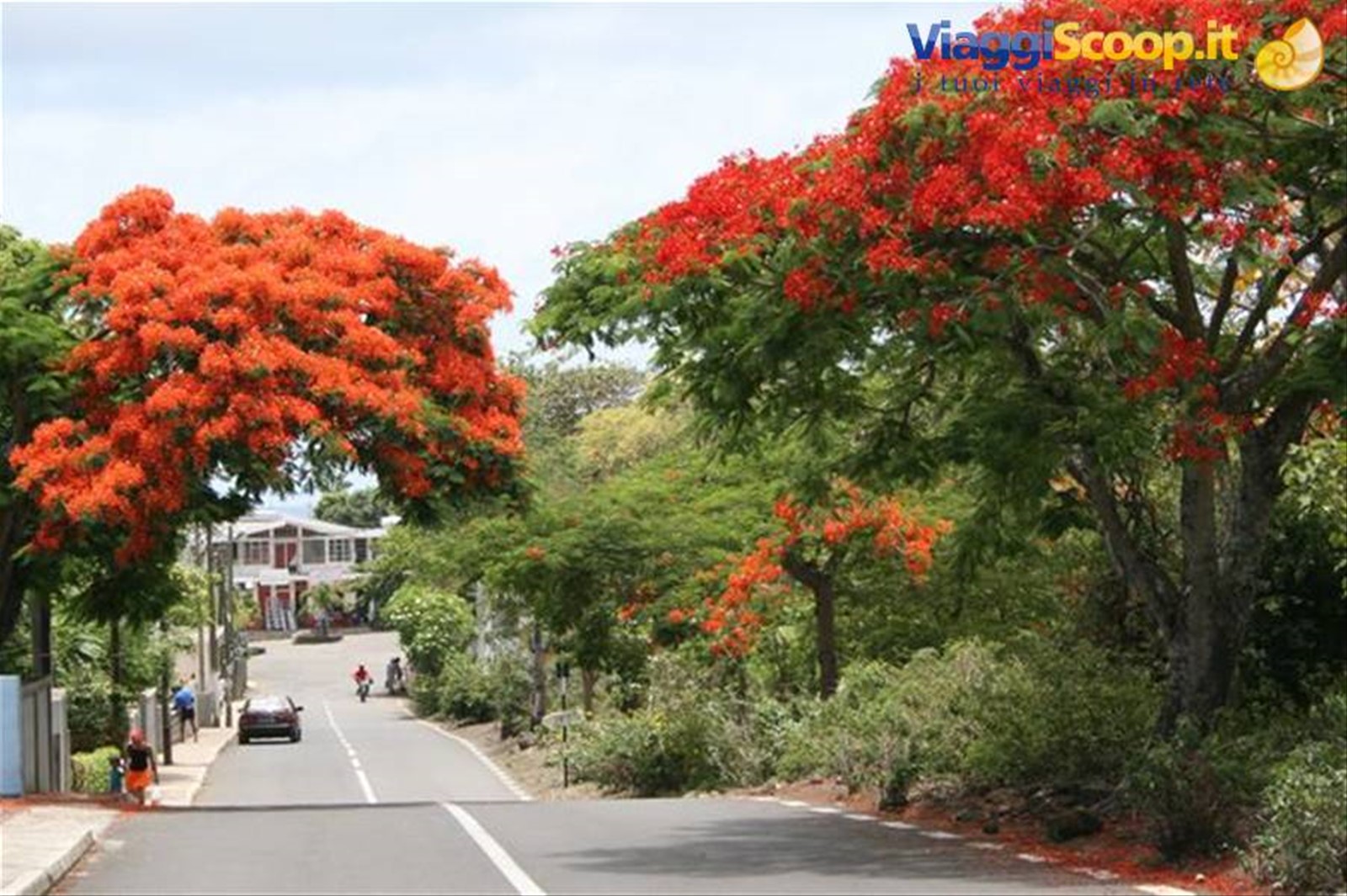 Foto di viaggio in MAURITIUS