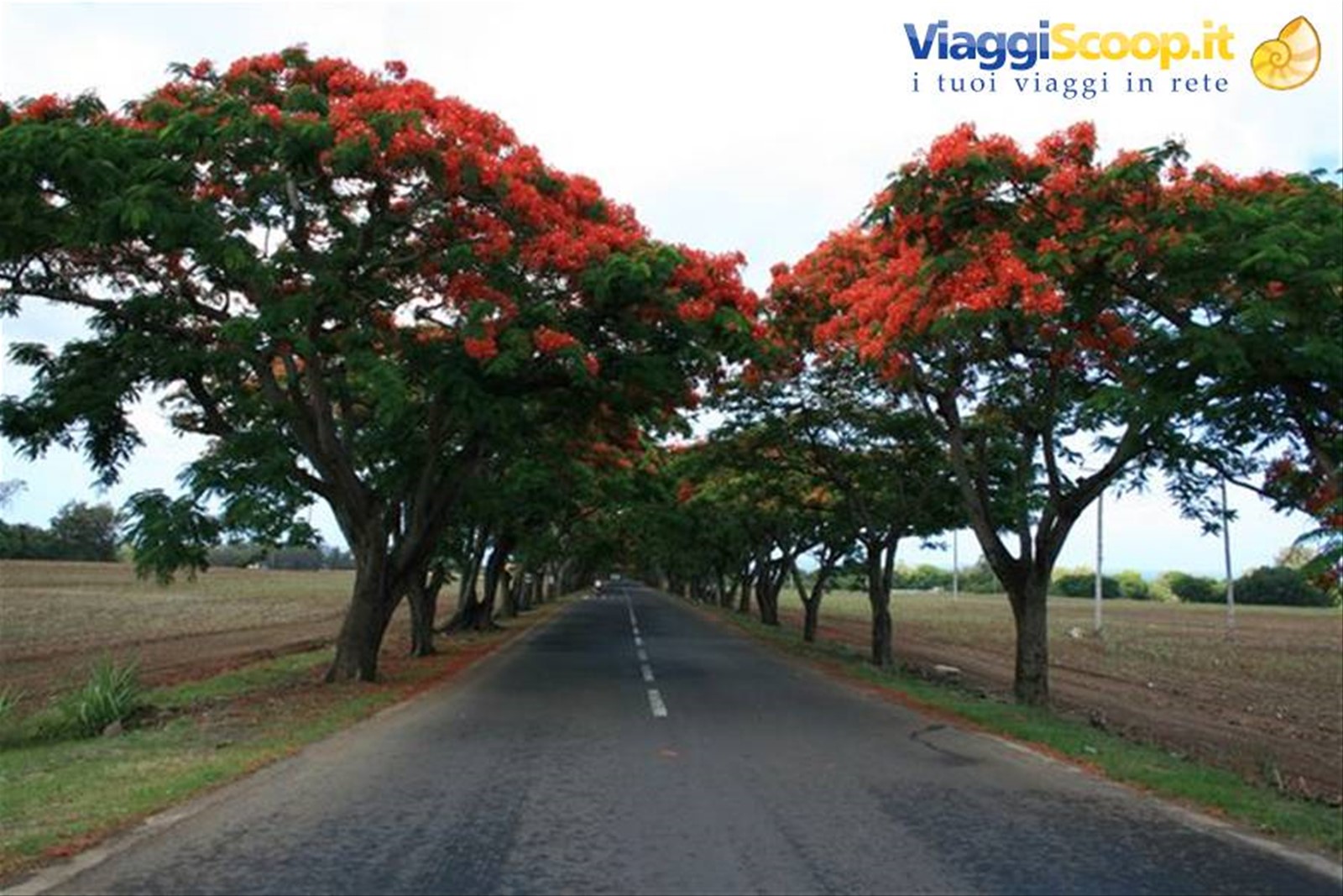 Foto di viaggio in MAURITIUS