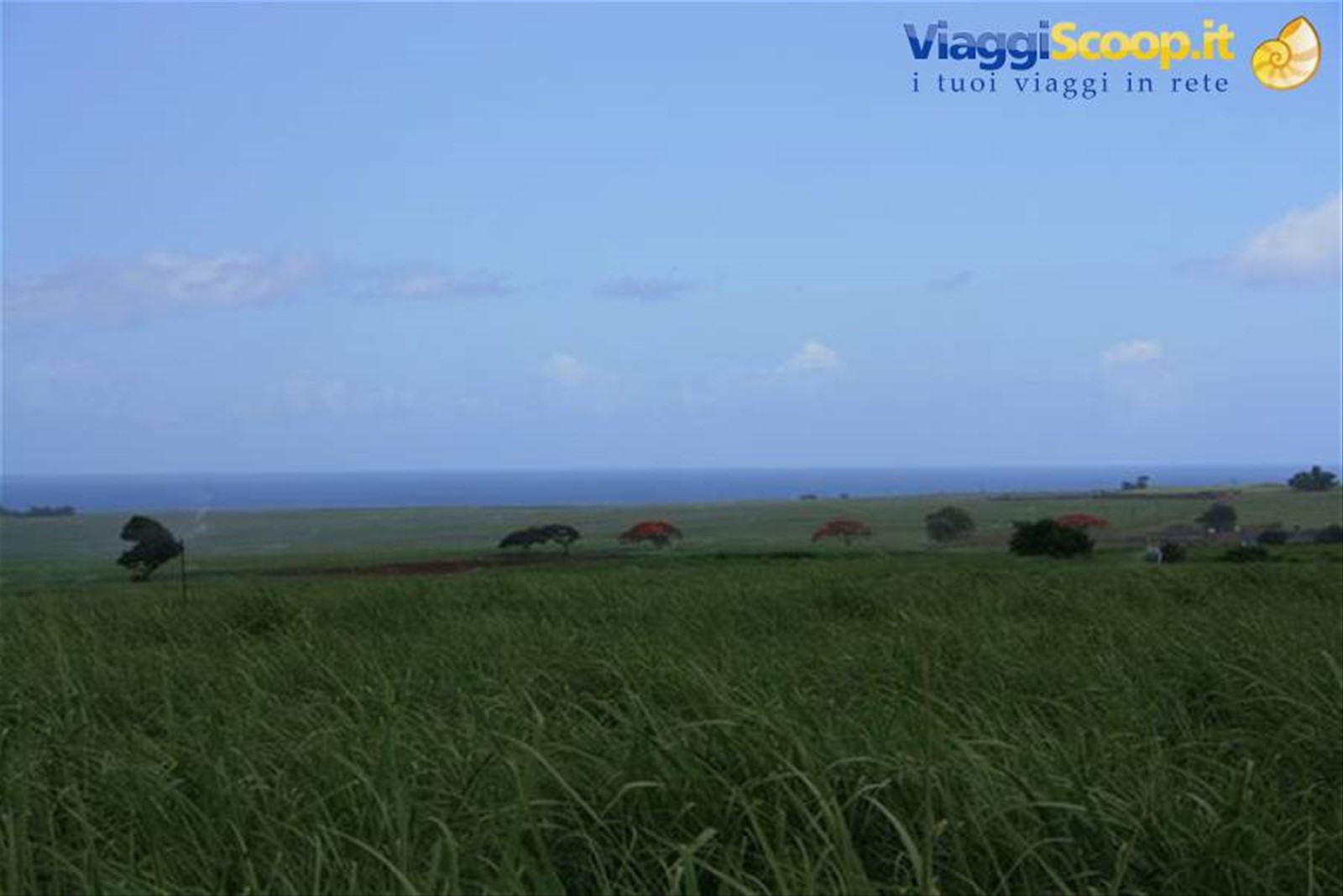 Foto di viaggio in MAURITIUS