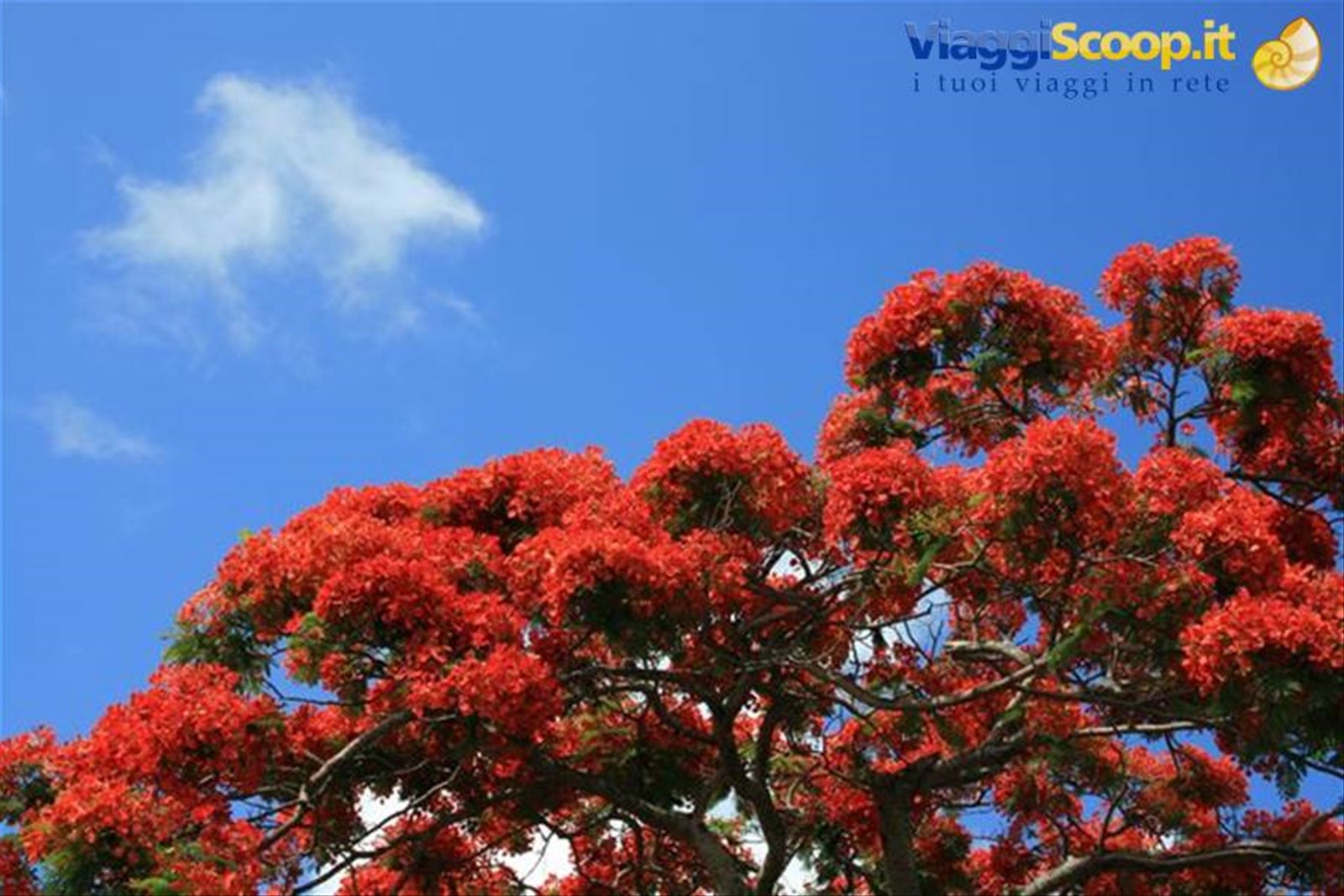 Foto di viaggio in MAURITIUS