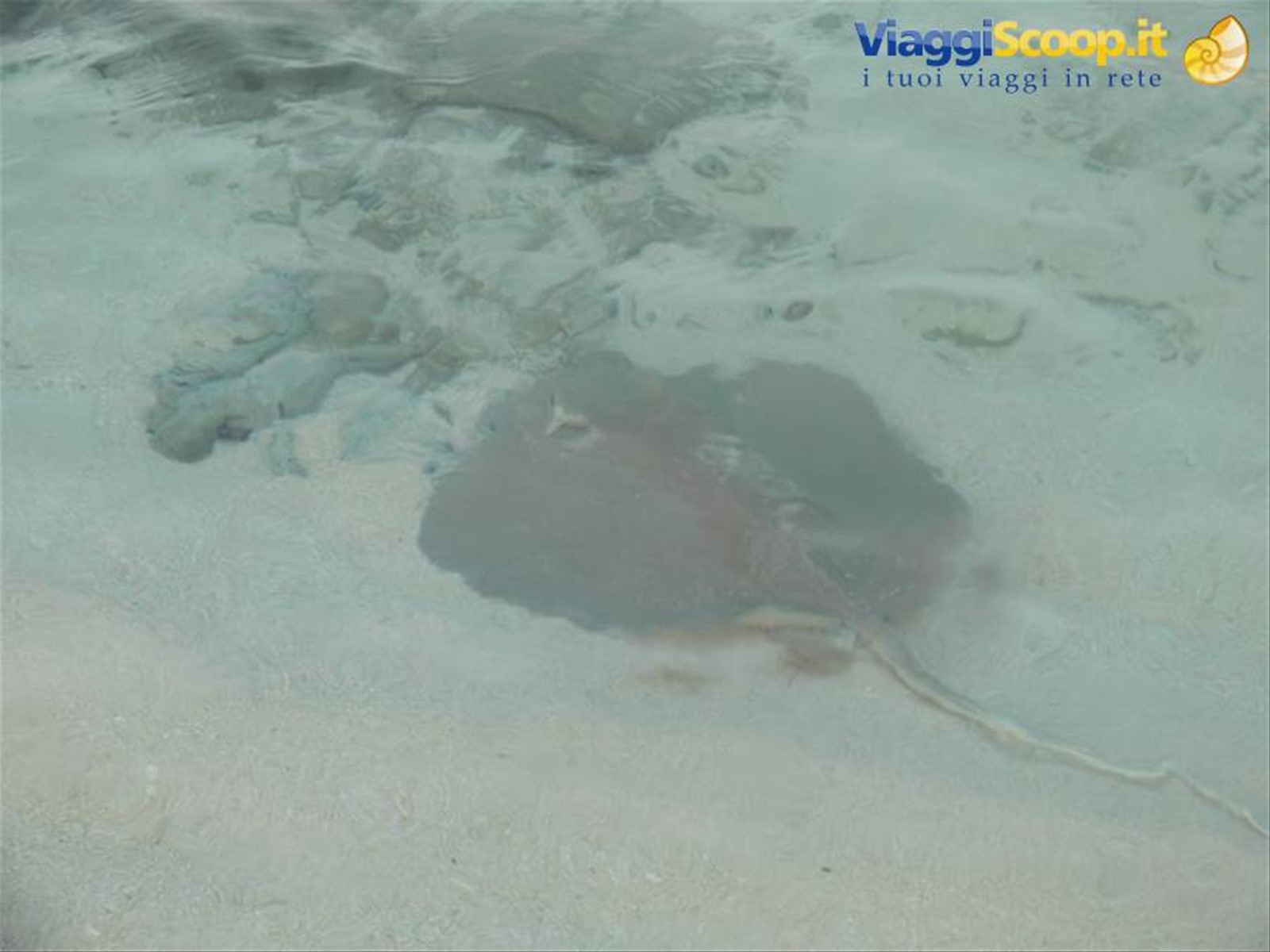 Foto di viaggio in MALDIVE