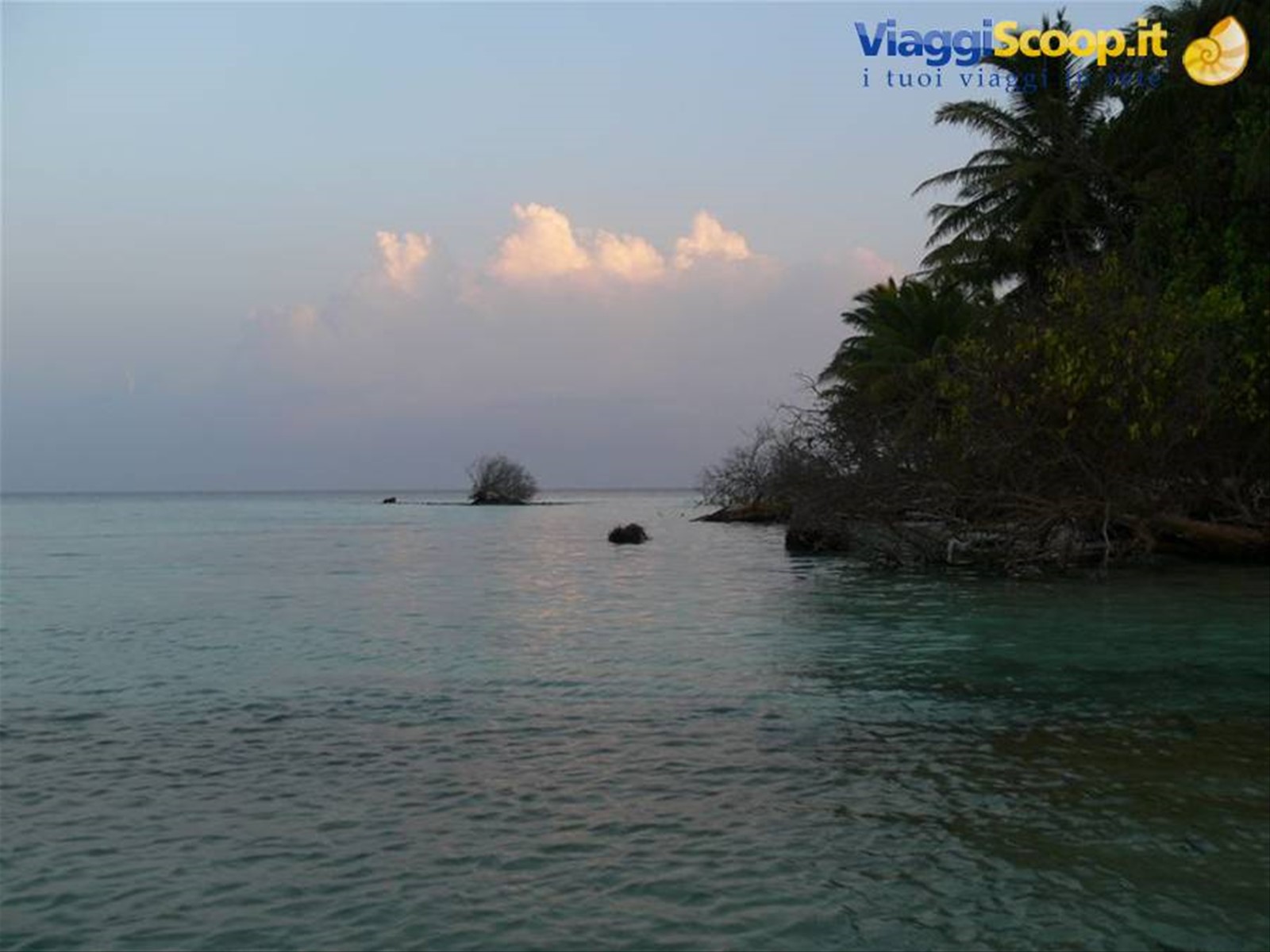 Foto di viaggio in MALDIVE