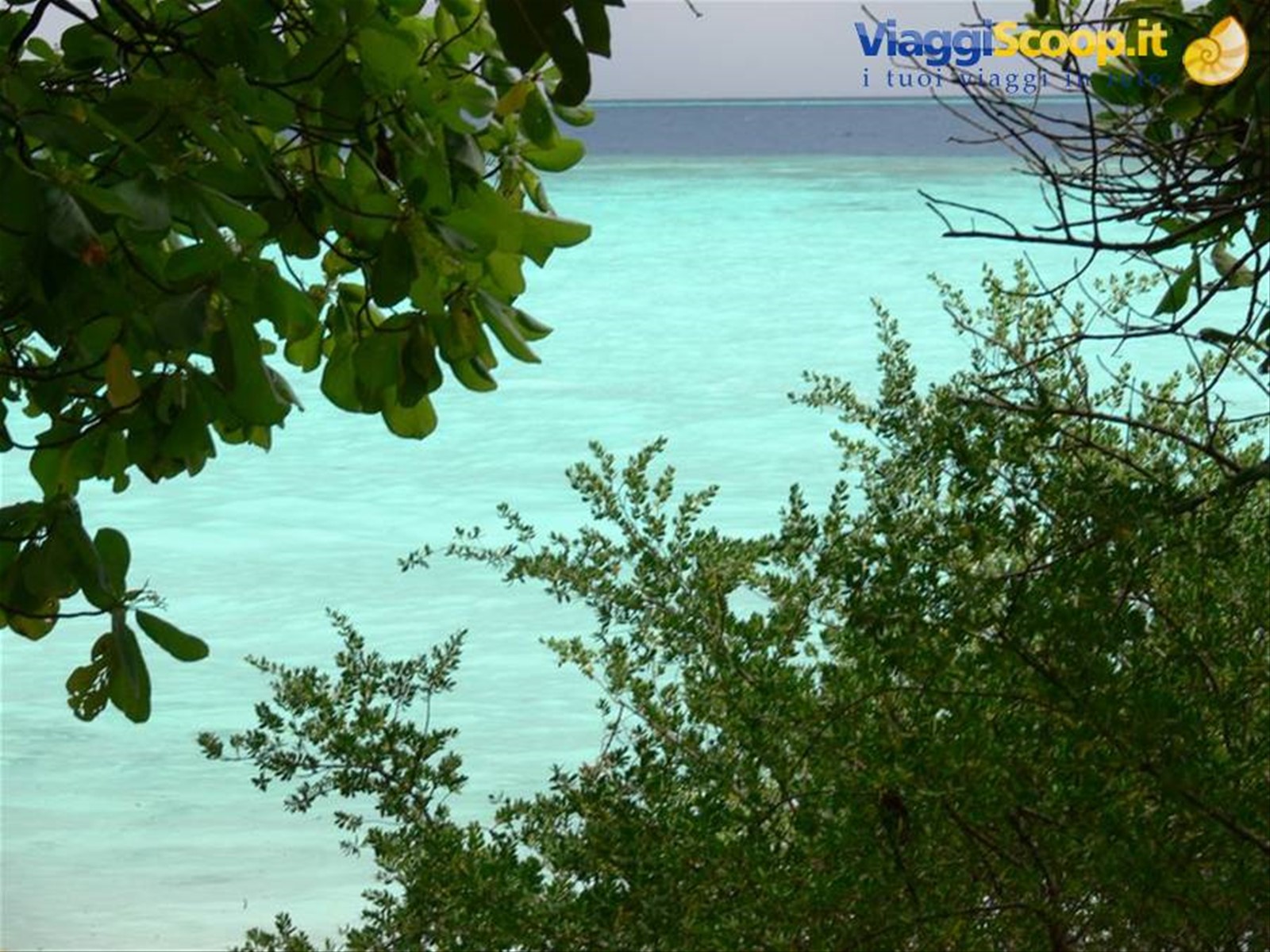 Foto di viaggio in MALDIVE